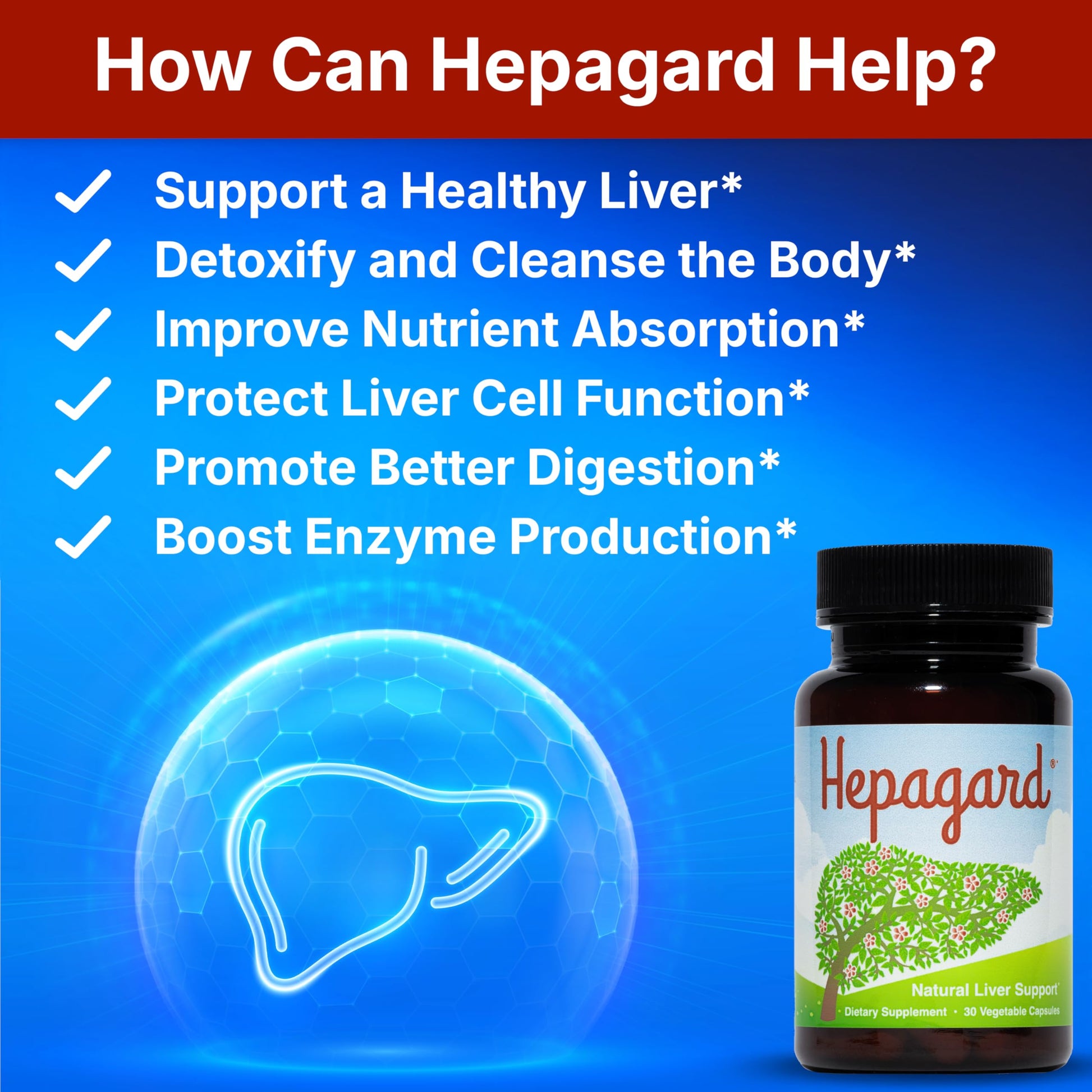 Hepagard - Natural Liver Support Supplement with N-Acetyl Cysteine (NAC) - Non-GMO, Vegan, Gluten-Free Hepagard buy supplements canada