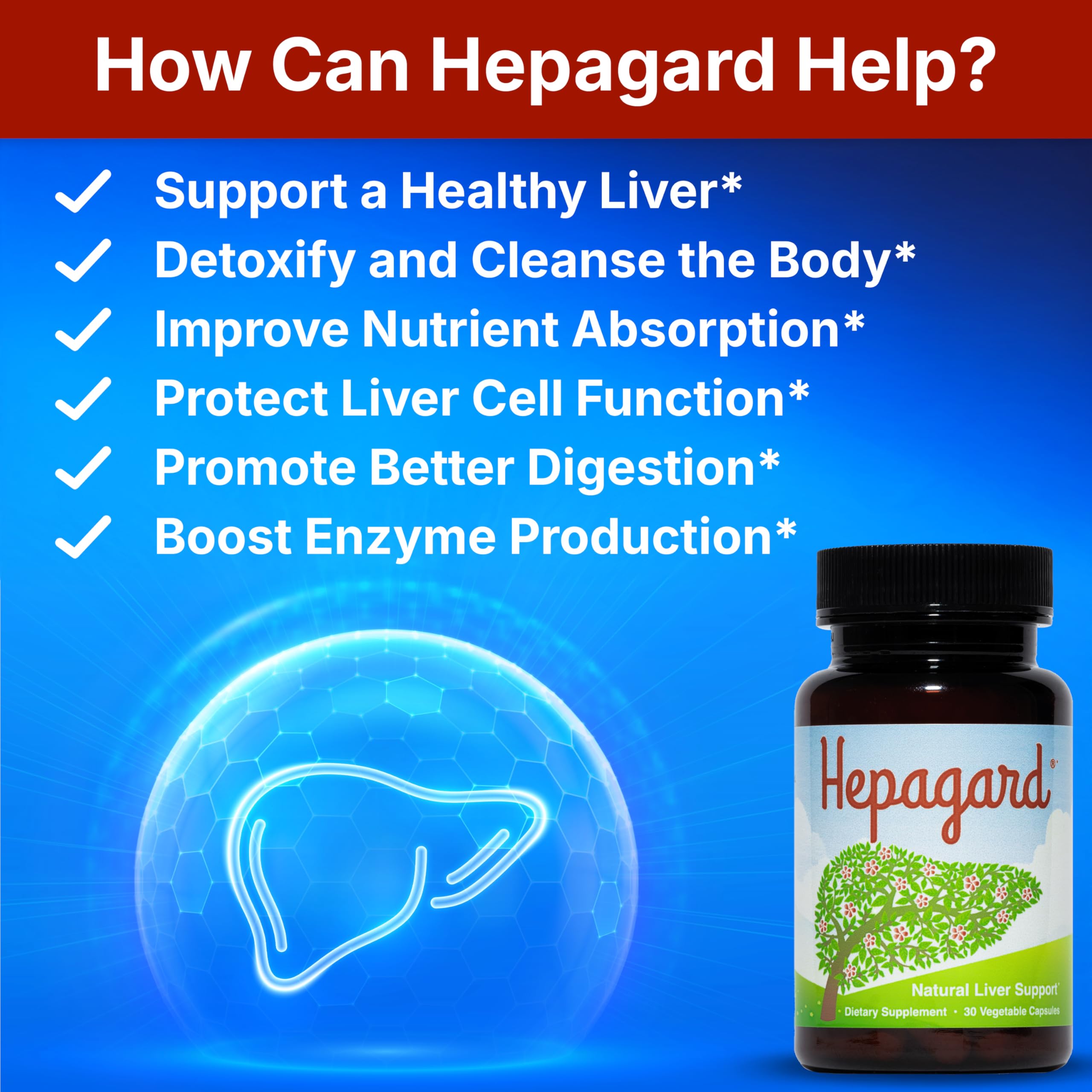 Hepagard - Natural Liver Support Supplement with N-Acetyl Cysteine (NAC) - Non-GMO, Vegan, Gluten-Free Hepagard buy supplements canada