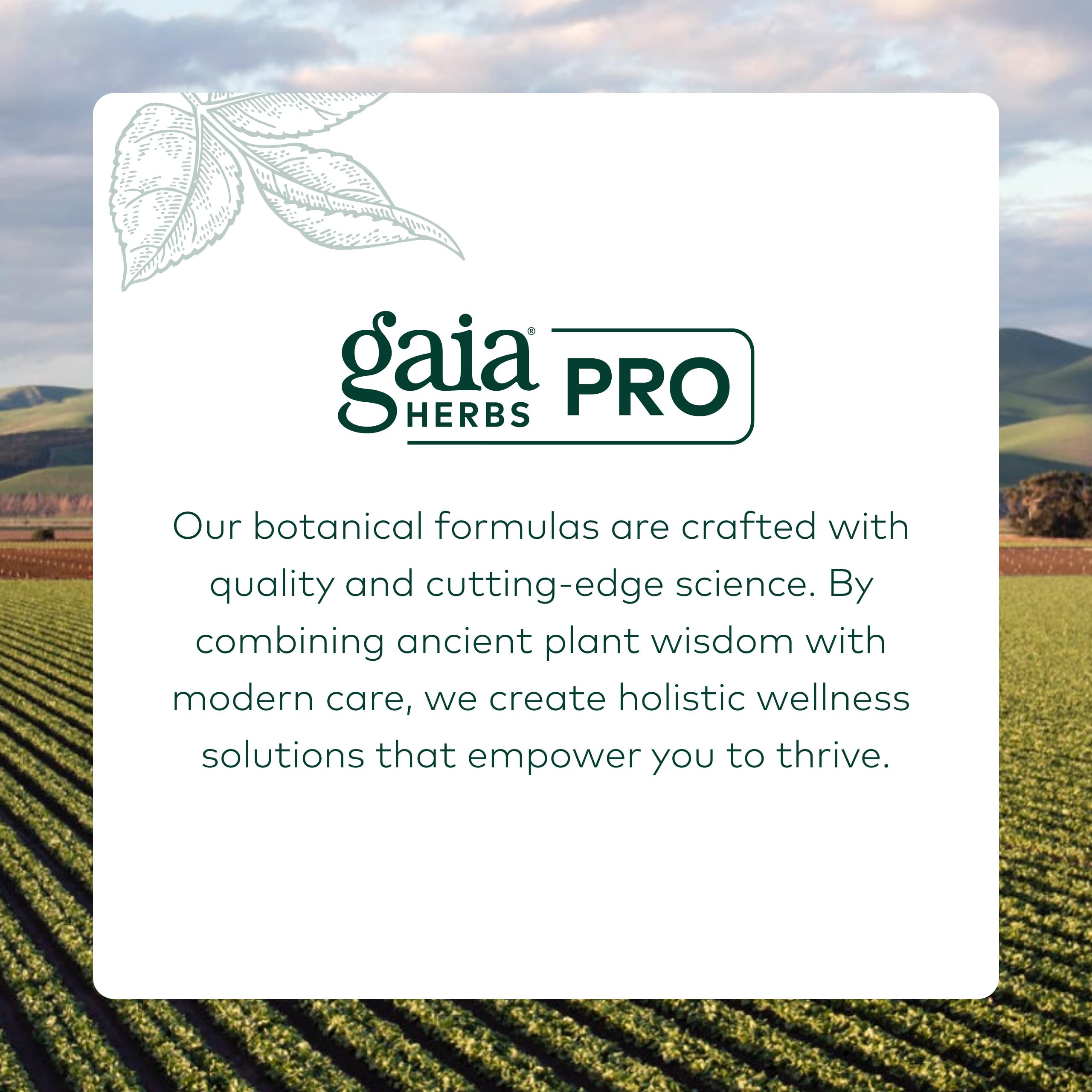 GAIA HERBS PRO Nootropic Focus - Brain Health Support Supplement* - Nootropic Supplement with Saffron, Ginkgo Leaf Extract & Lemon Balm - Vegan, Gluten-Free - 40 Liquid Phyto-Caps (20 Servings) Gaia Herbs PRO buy supplements canada