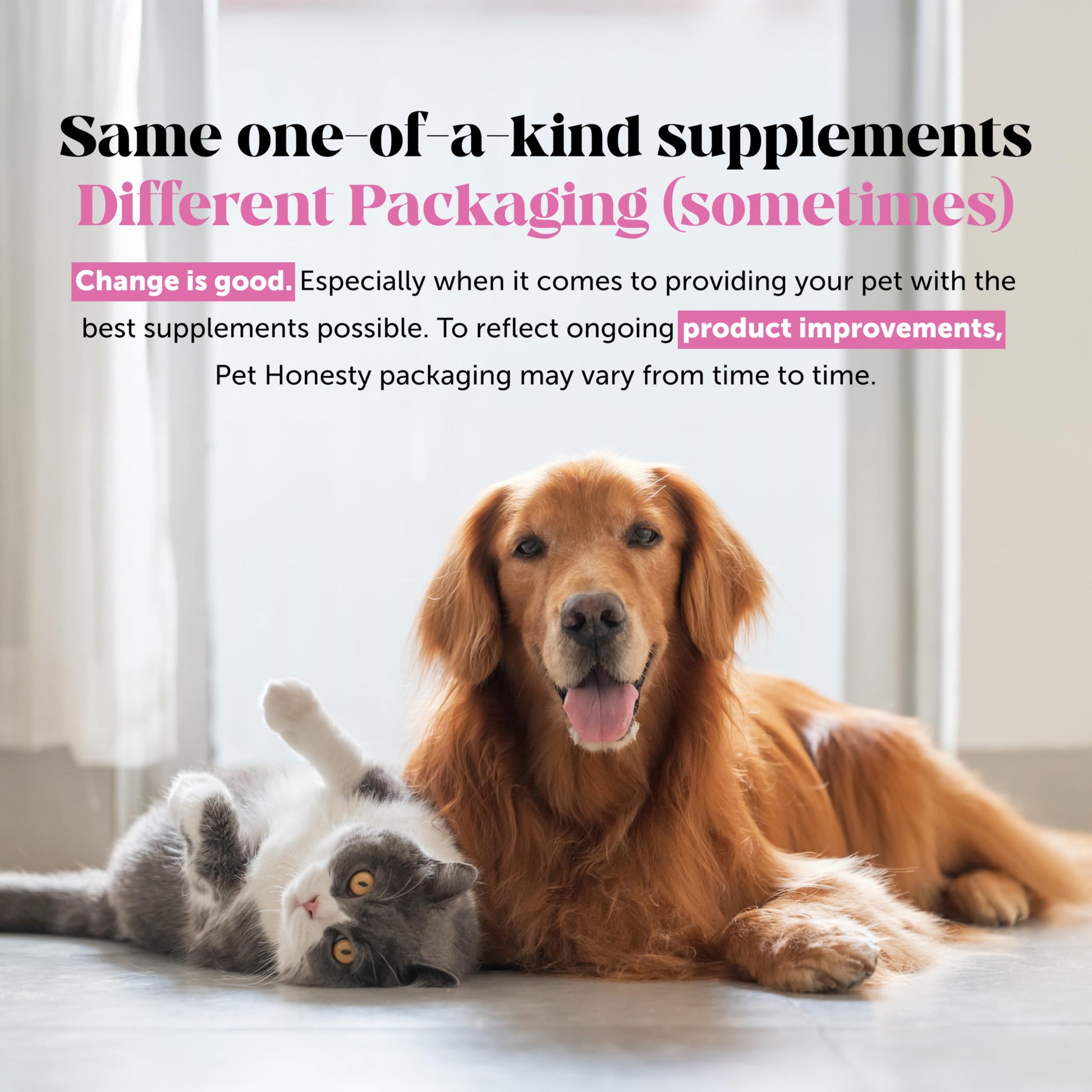 Hemp Hip & Joint Supplement for Dogs - Hemp Oil & Powder - Glucosamine Chondroitin for Dogs, Turmeric, MSM, Green-Lipped Mussel, Supports Mobility, May Reduce Discomfort (Bacon) Pet Honesty buy supplements canada