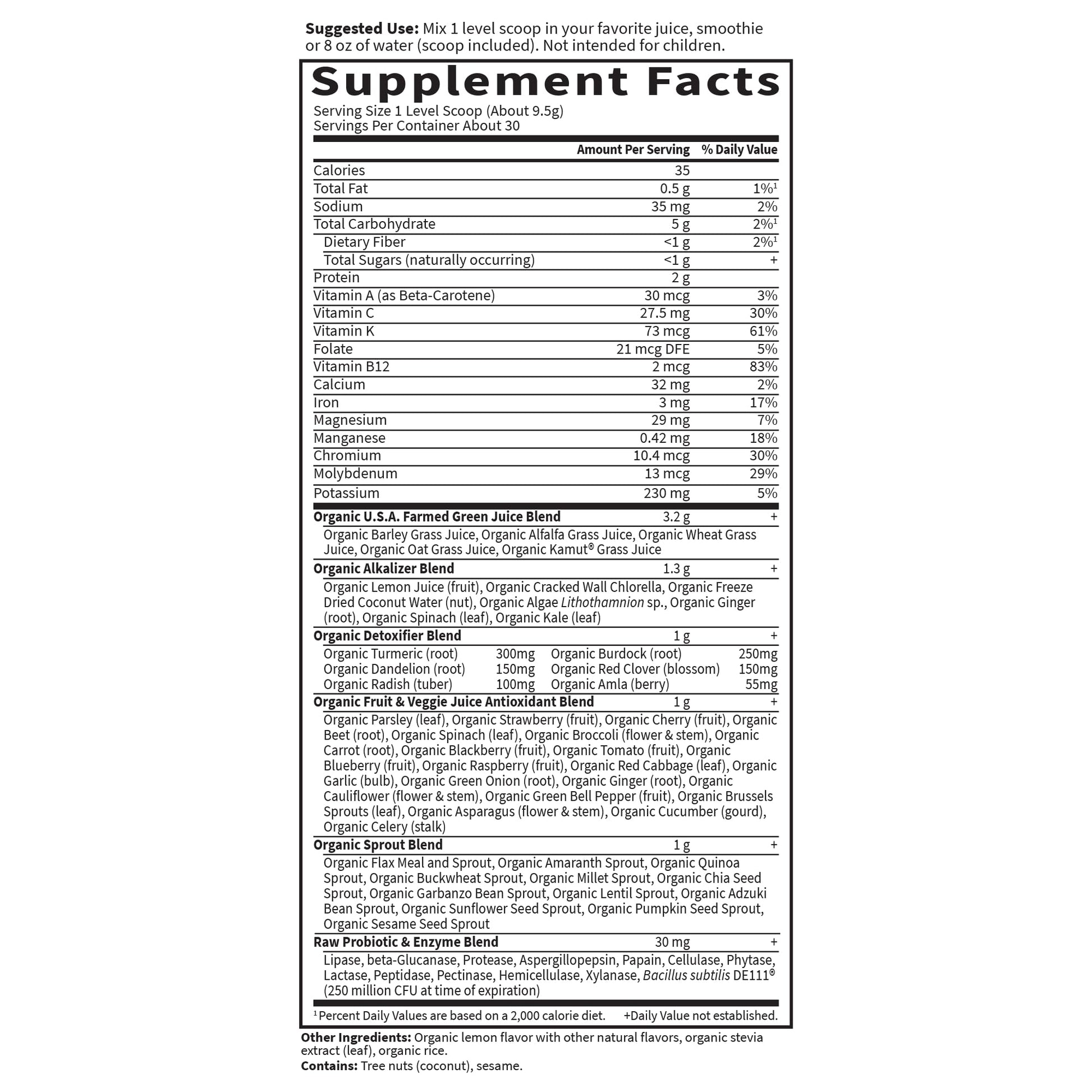Garden of Life Raw Organic Perfect Food Alkalizer and Detoxifier, Lemon Ginger Flavored Superfood Powder Supplement, 30 Servings Garden of Life buy supplements canada