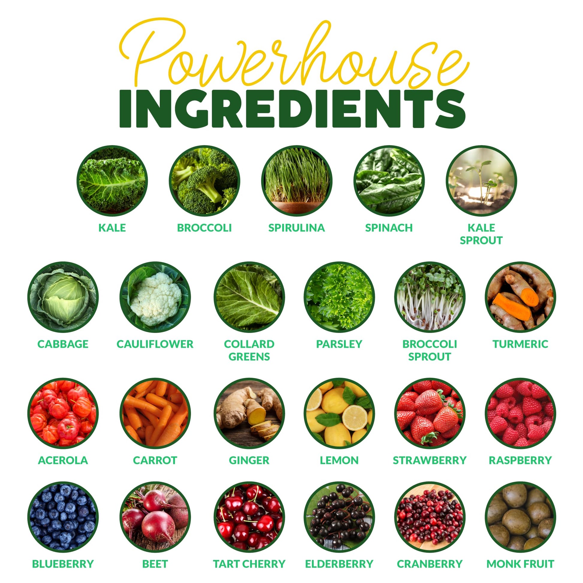 Paleovalley Organic Supergreens - Organic Greens Powder Superfood for Immune Support - Paleo Green Powder Blend - 28 Servings - 23 Superfoods - Gluten Free, No Cereal Grasses, Soy or Grain Paleovalley buy supplements canada