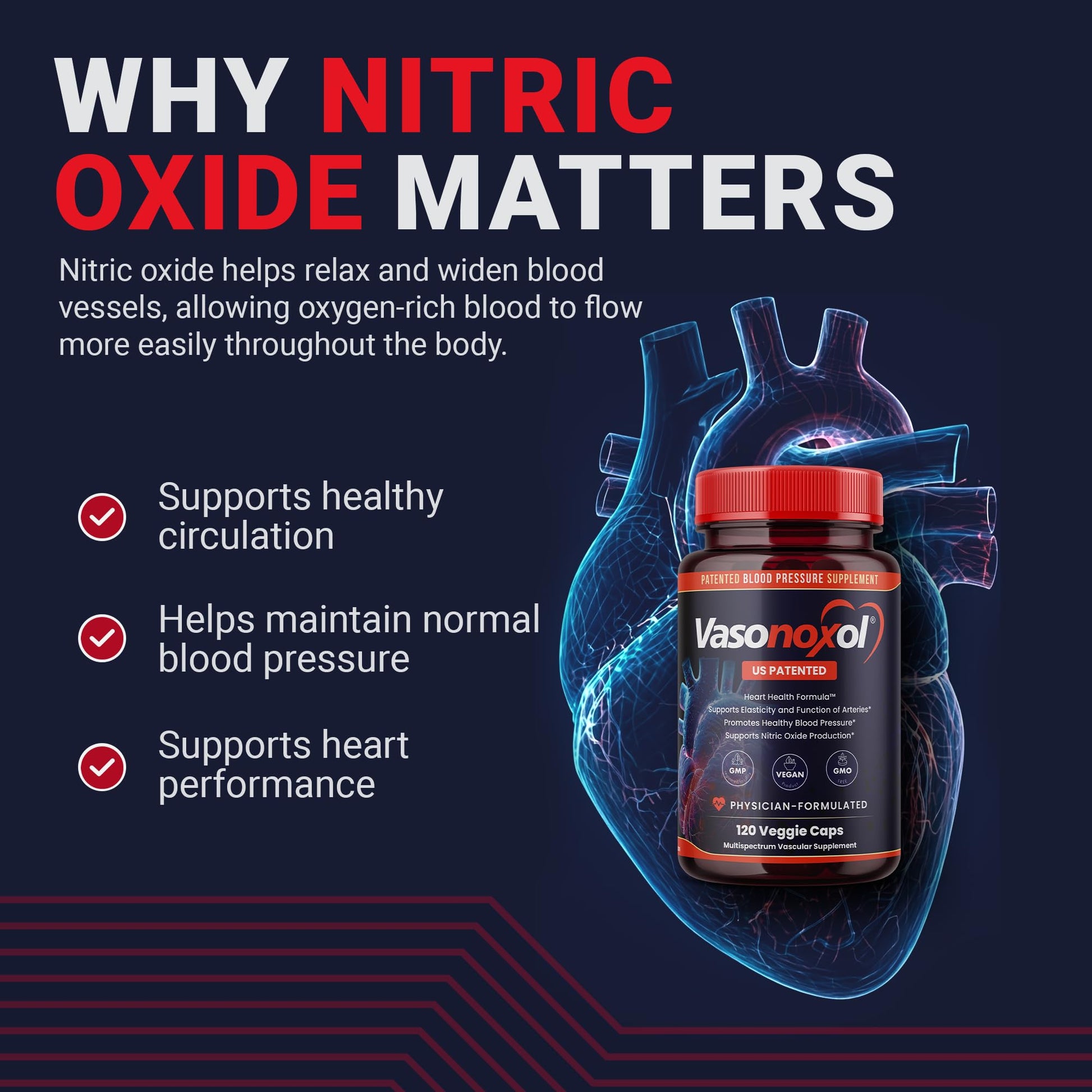 Vasonoxol U.S. Patented Nitric Oxide Supplement for Blood Pressure Support 2880mg - Physician Formulated Vascular Health Formula with L-Arginine & L-Citrulline - Vegan, Non-GMO (120 Capsules) Panoxol buy supplements canada