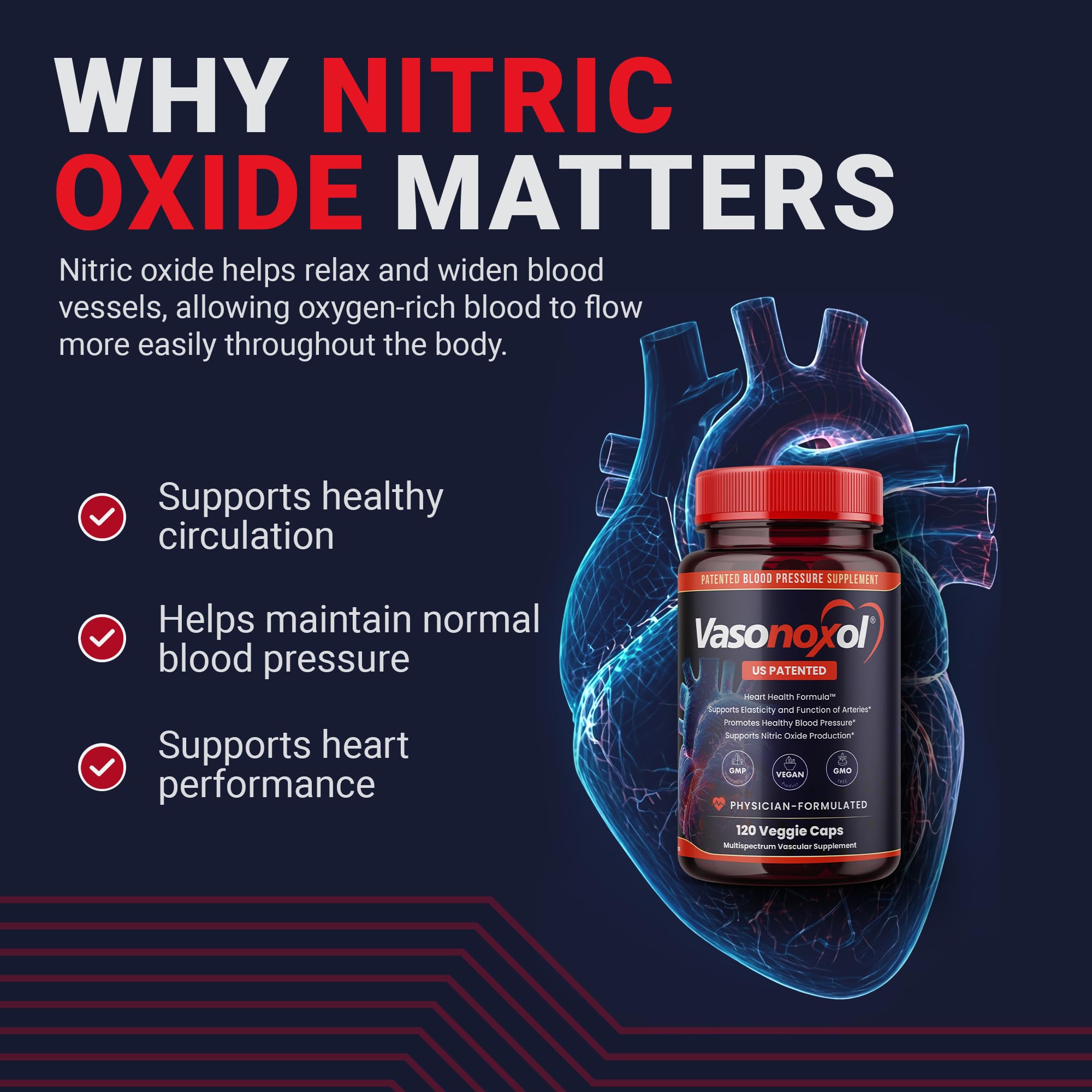 Vasonoxol U.S. Patented Nitric Oxide Supplement for Blood Pressure Support 2880mg - Physician Formulated Vascular Health Formula with L-Arginine & L-Citrulline - Vegan, Non-GMO (120 Capsules) Panoxol buy supplements canada