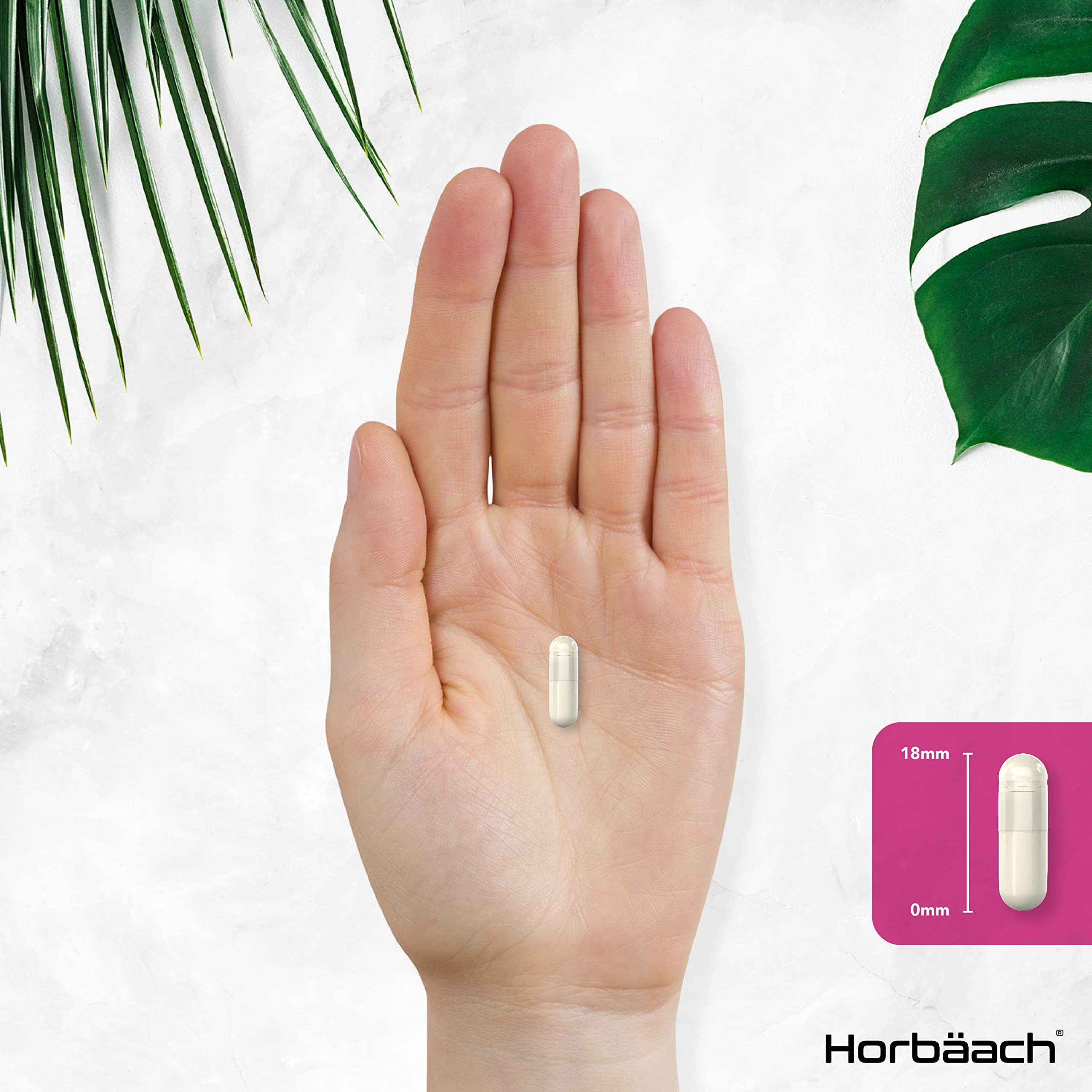 Inositol Supplement for PCOS | 120 Vegan Capsules | Myo-Inositol Complex with Folic Acid Horbäach buy supplements canada