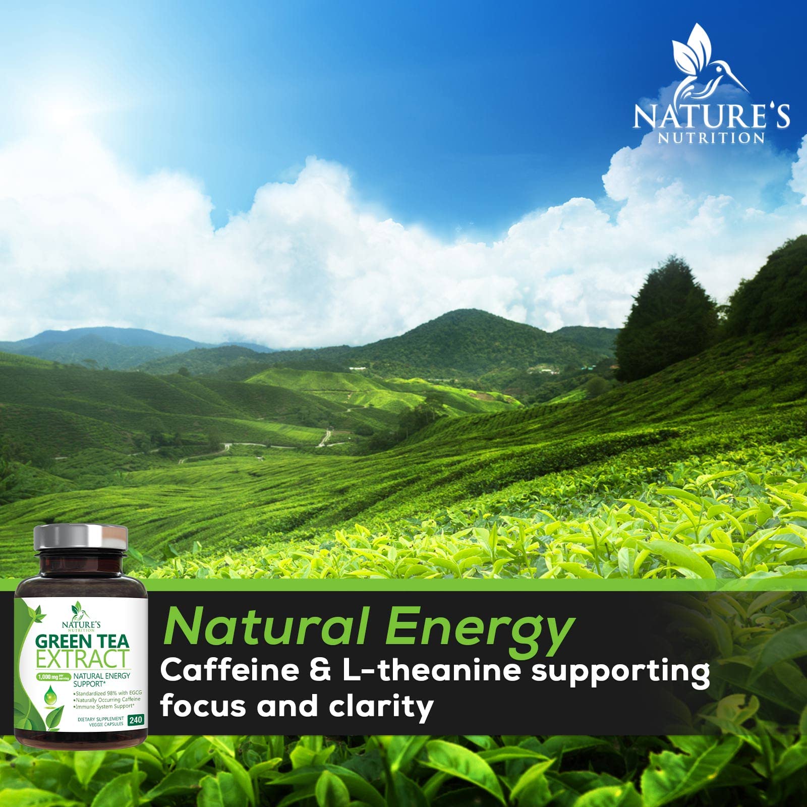 Green Tea Extract Capsules 1000mg 98% Standardized EGCG - 3X Strength for Natural Nature's Nutrition buy supplements canada
