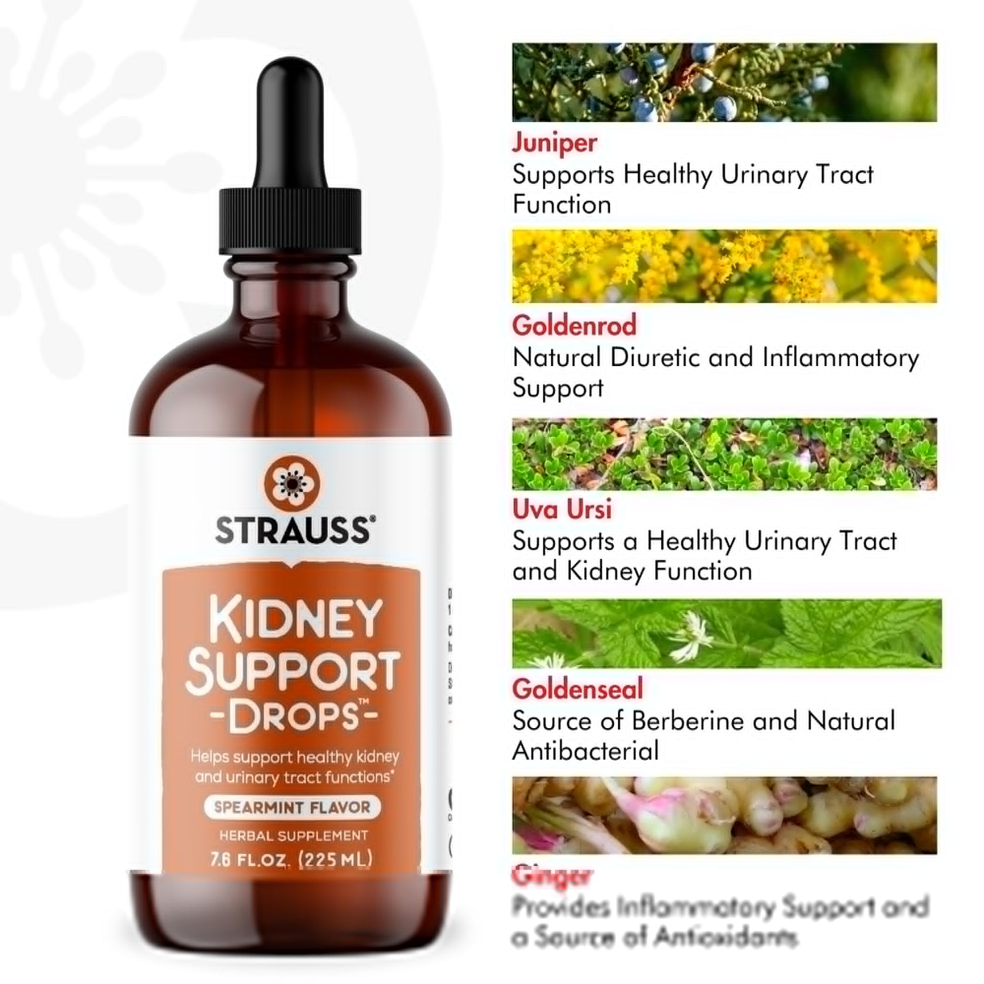 Strauss Naturals Kidney Support Drops – Herbal Kidney Support Supplement for Men and Women – Helps with Kidney Health and Urinary Tract Function – Vegan & Non-GMO – Spearmint Flavored – 100 ml Bottle Strauss Heartdrops buy supplements canada