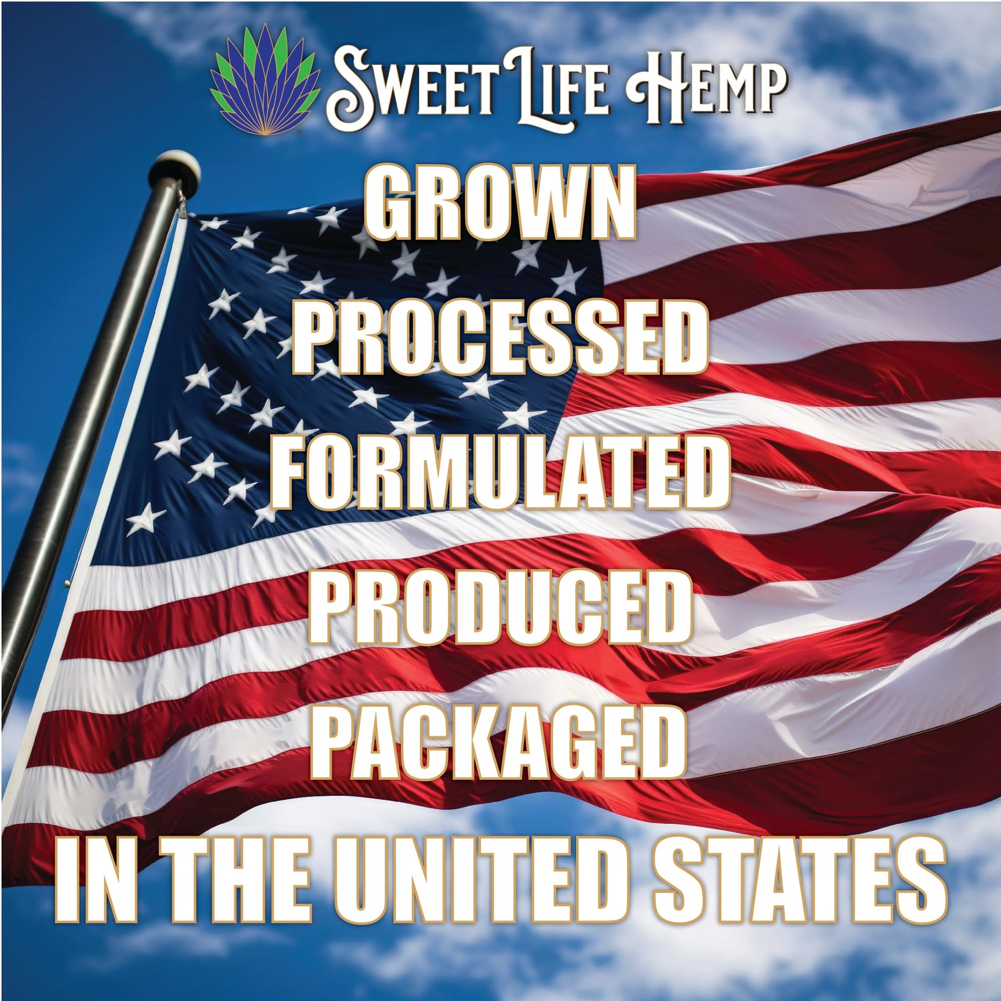 Sweet Life | Hemp Salve Stick | 2000mg | Small Business | Organic | Body Balm | Muscle Comfort Sweet Life buy supplements canada