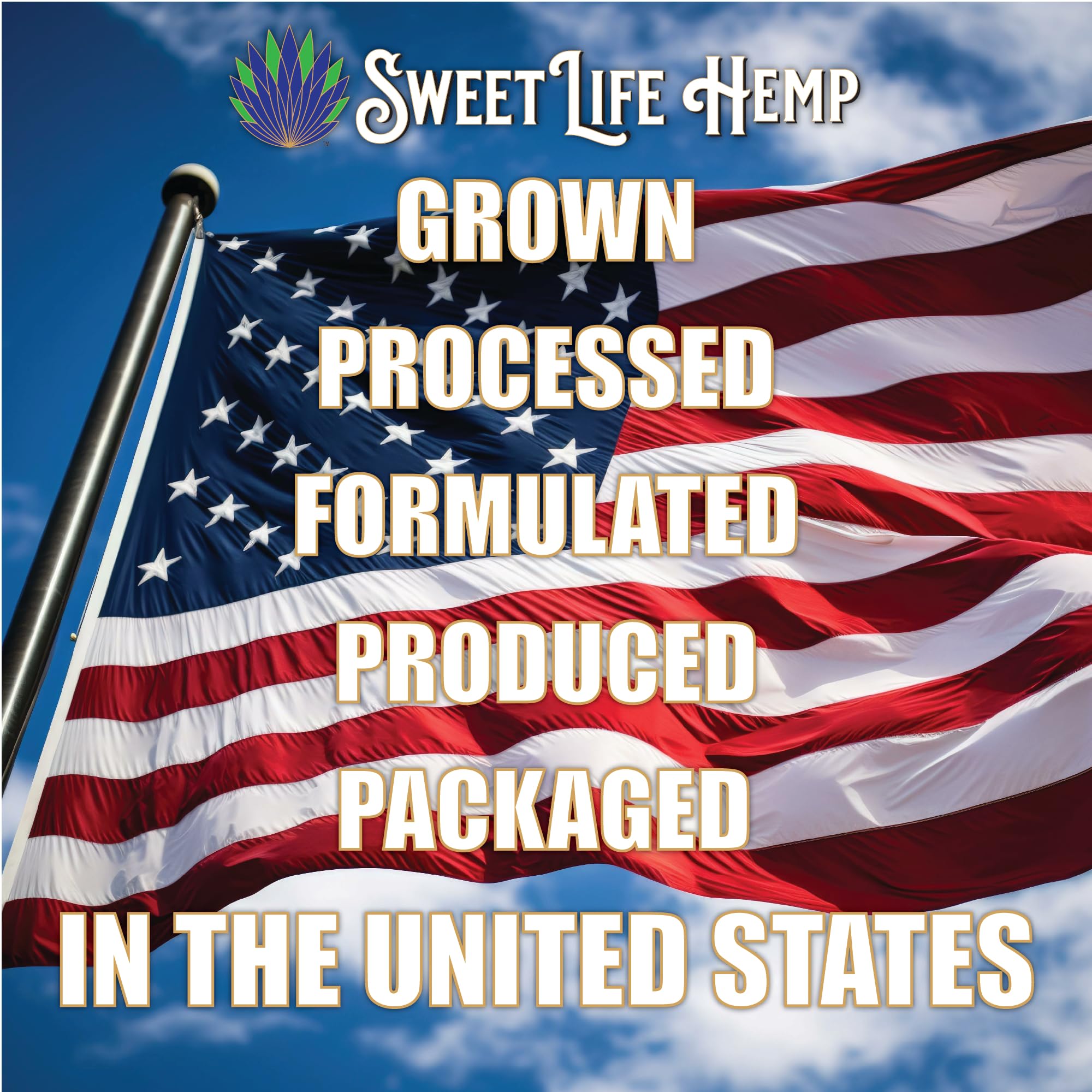 Sweet Life | Hemp Salve Stick | 3000mg | Organic Botanical Balm | Twist-Up Applicator | Small Business | Muscle & Joint Comfort Sweet Life buy supplements canada