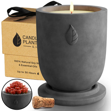 CandlePlanter Concrete Cement Candle Planter - Candles for Home Scented, Soy Candles CANDLEPLANTER buy supplements canada