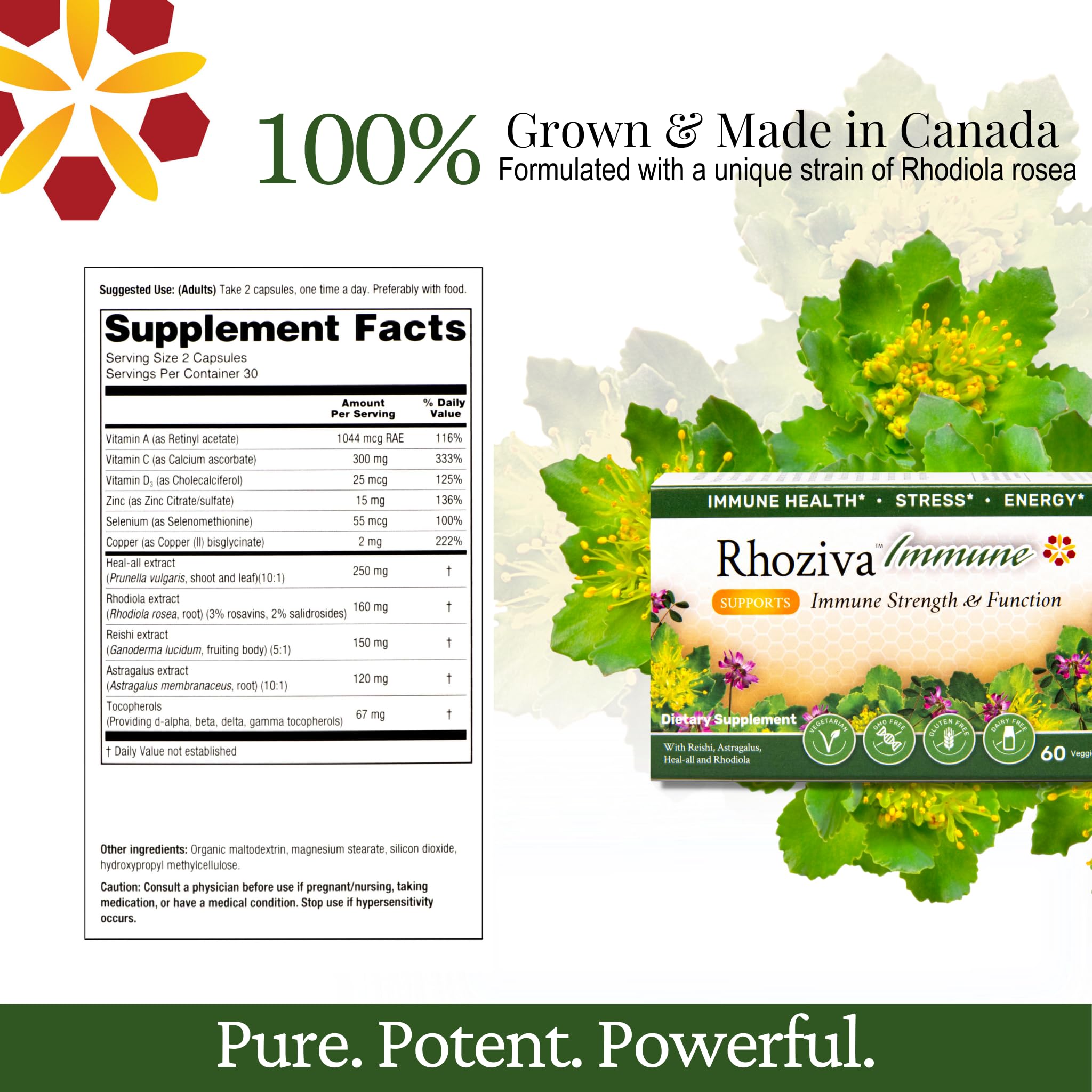 Immune Support, Energy Booster with Vitamin C, D3 and Zinc Supplement, Rhodiola Rosea, Reishi Mushroom Extract, Astragalus, Overall Wellness and Daily Habit - 60 Capsules Rhoziva buy supplements canada