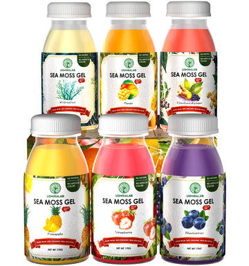 USMIRALAB Wildcrafted Sea Moss Gel for Purists： 6-Flavor Ritual Set (36oz) with Antioxidant Ocean Minerals | Pure Superfood Base Vegan USMIRALAB buy supplements canada