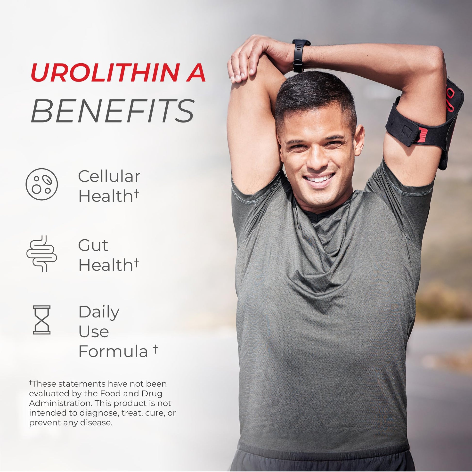 Neurogan Urolithin A PRO Capsules - 1000mg, 120 Ct - Advanced Cellular Health, Post Biotic Supplements - Ultra Micronized Urolithin A Supplement, Sourced from Pomegranate Extract Neurogan buy supplements canada