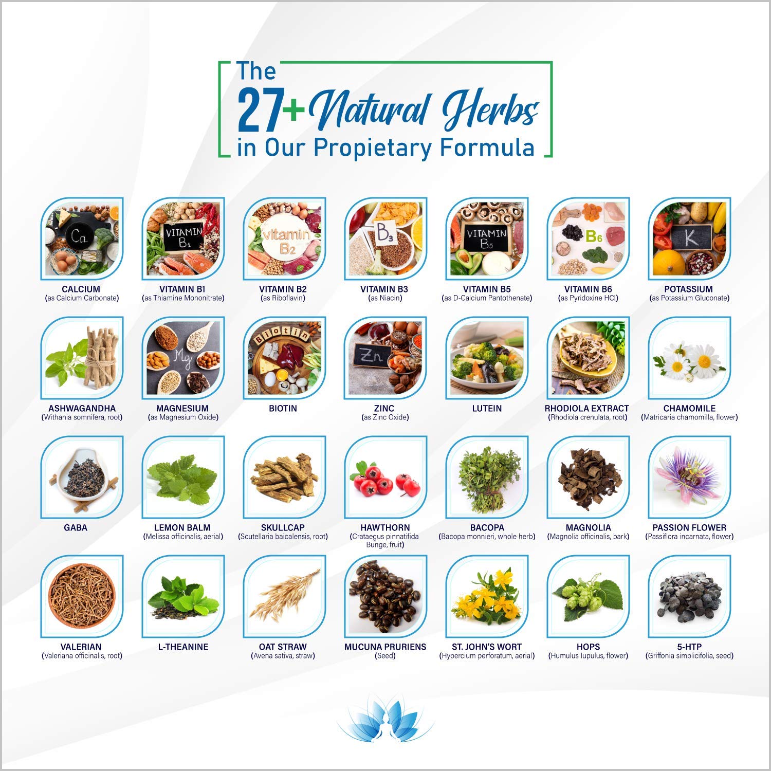 28 in 1 Calm Mood Support Supplement- Natural Happy Pills for Occasional Anxiousness & Stress, Worry feelings, Relaxation, Mental Clarity | Max Sleep & Mood Support for Women & Men|120 Vegan Capsules Rainbow Nutrients, LLC buy supplements canada