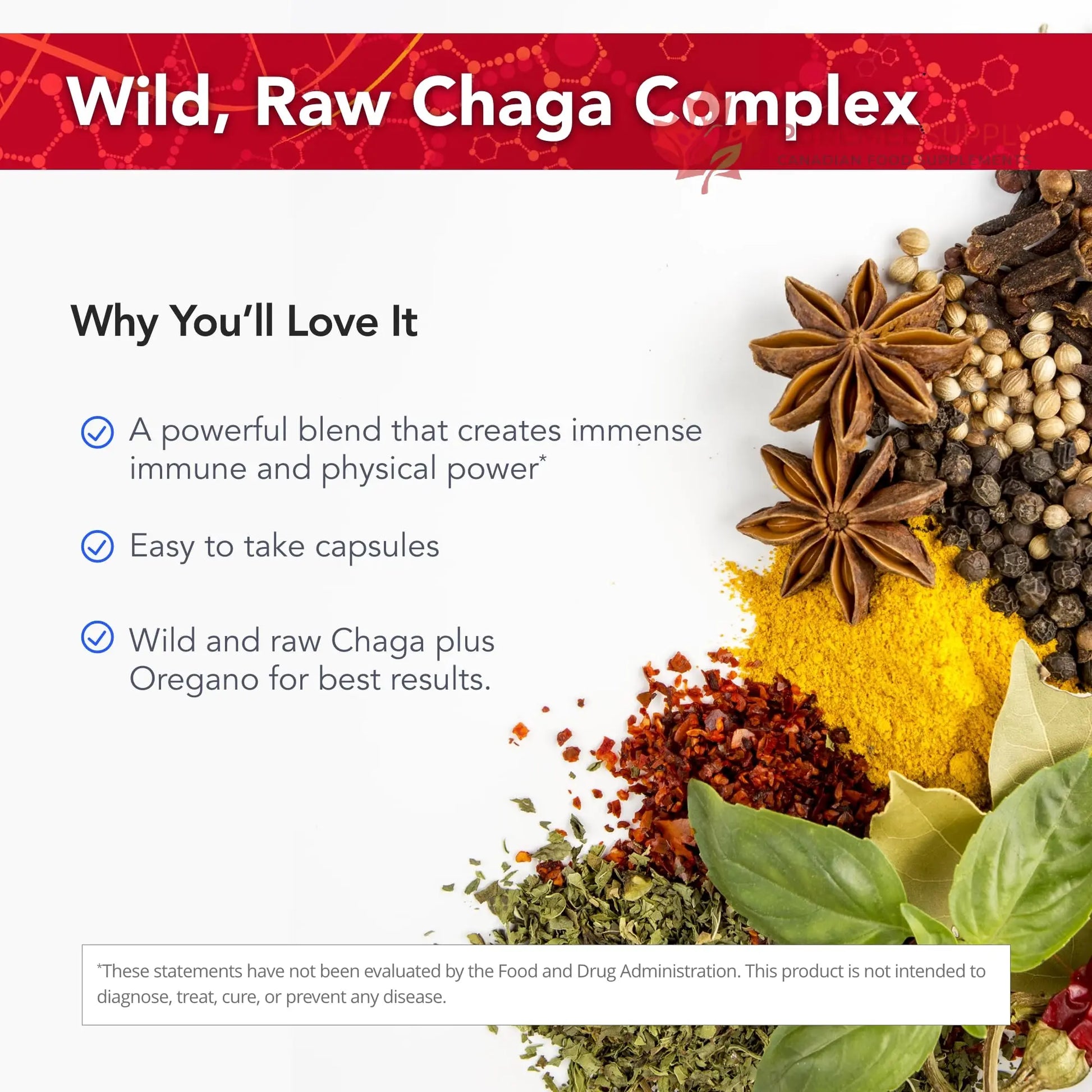 Physician's Strength ChagaStrength - 90 Capsules - Wild, Raw Chaga Complex - Immune & Physical Support - Non-GMO - 90 Servings Physician's Strength buy supplements canada