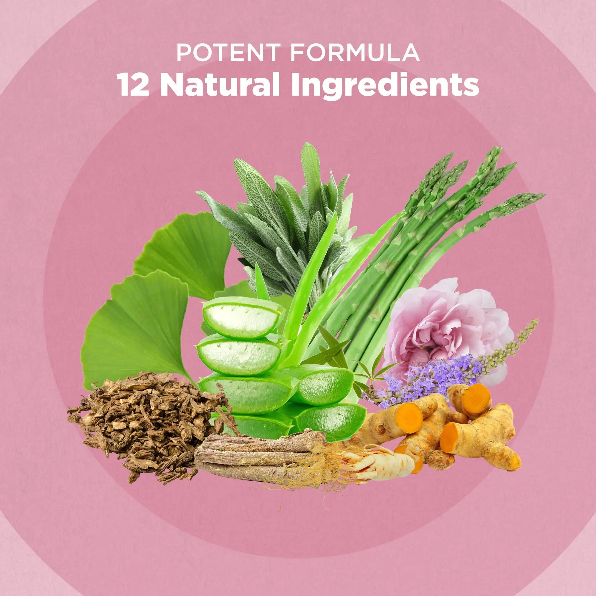 Strength & Spices Hormone Balance 100% Natural Estrogen Supplement – 12 Ingredients w Dong Quai - 60 Vegan UK Made 1000mg Capsules – Fertility and Menstrual Comfort STRENGTH & SPICES100% Natural Vegan Food Supplements buy supplements canada