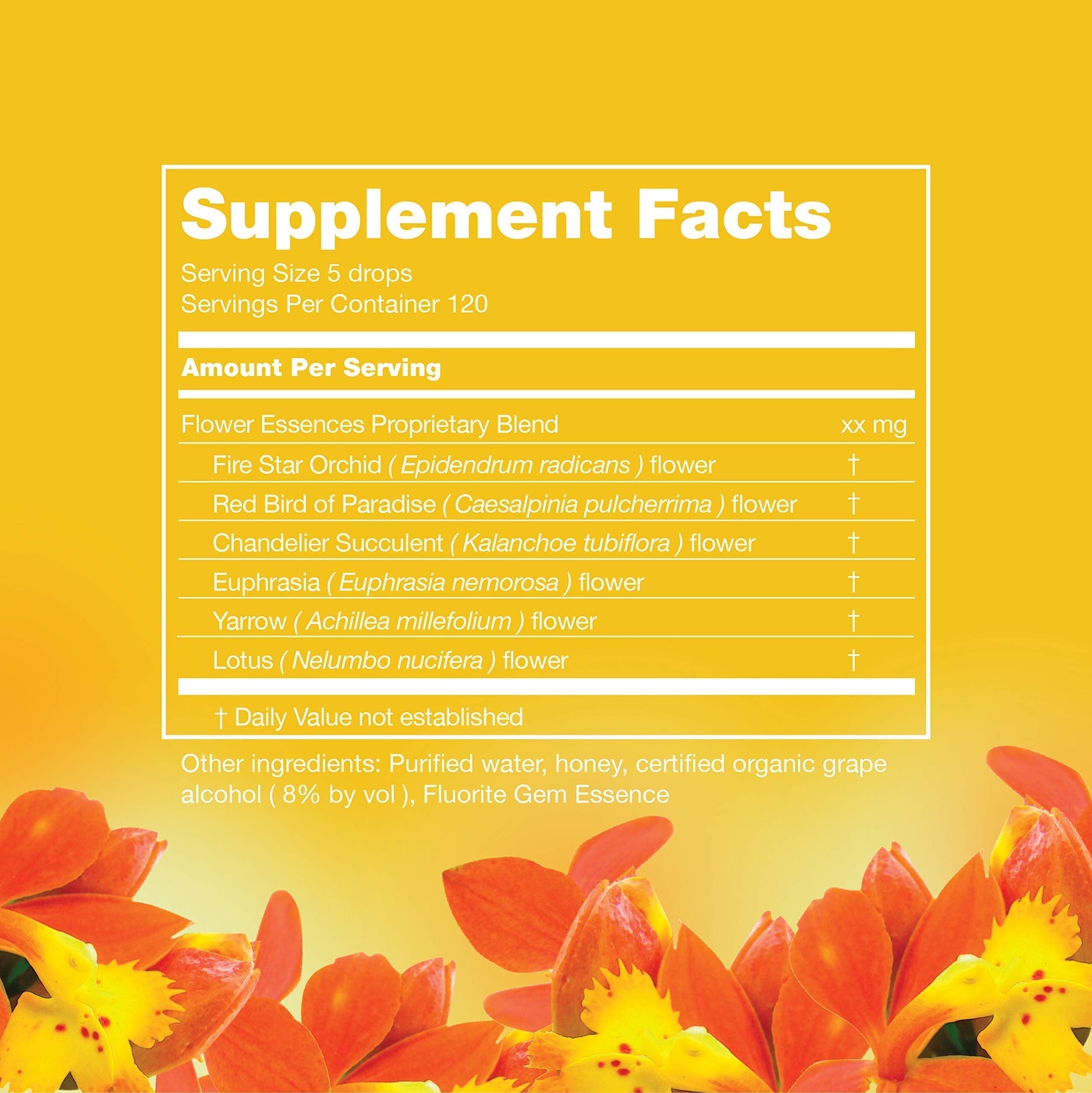 LOTUSWEI Inspired Action Flower Essence Elixir – Enhance Focus, Concentration, Mental Clarity & Creativity – Flower Remedy Supplement LOTUSWEI buy supplements canada