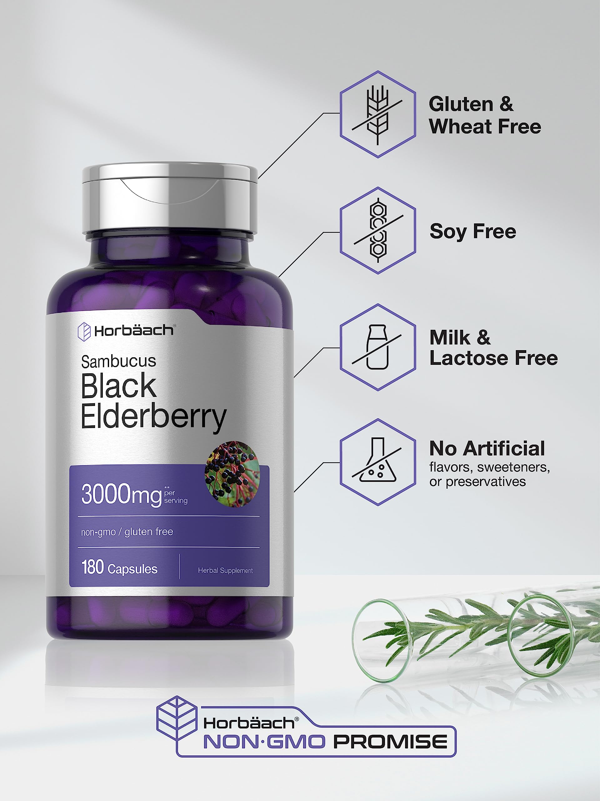 Horbäach Black Elderberry | 180 Count | Non-GMO, Gluten Free | Sambucus Extract Supplement Horbäach buy supplements canada