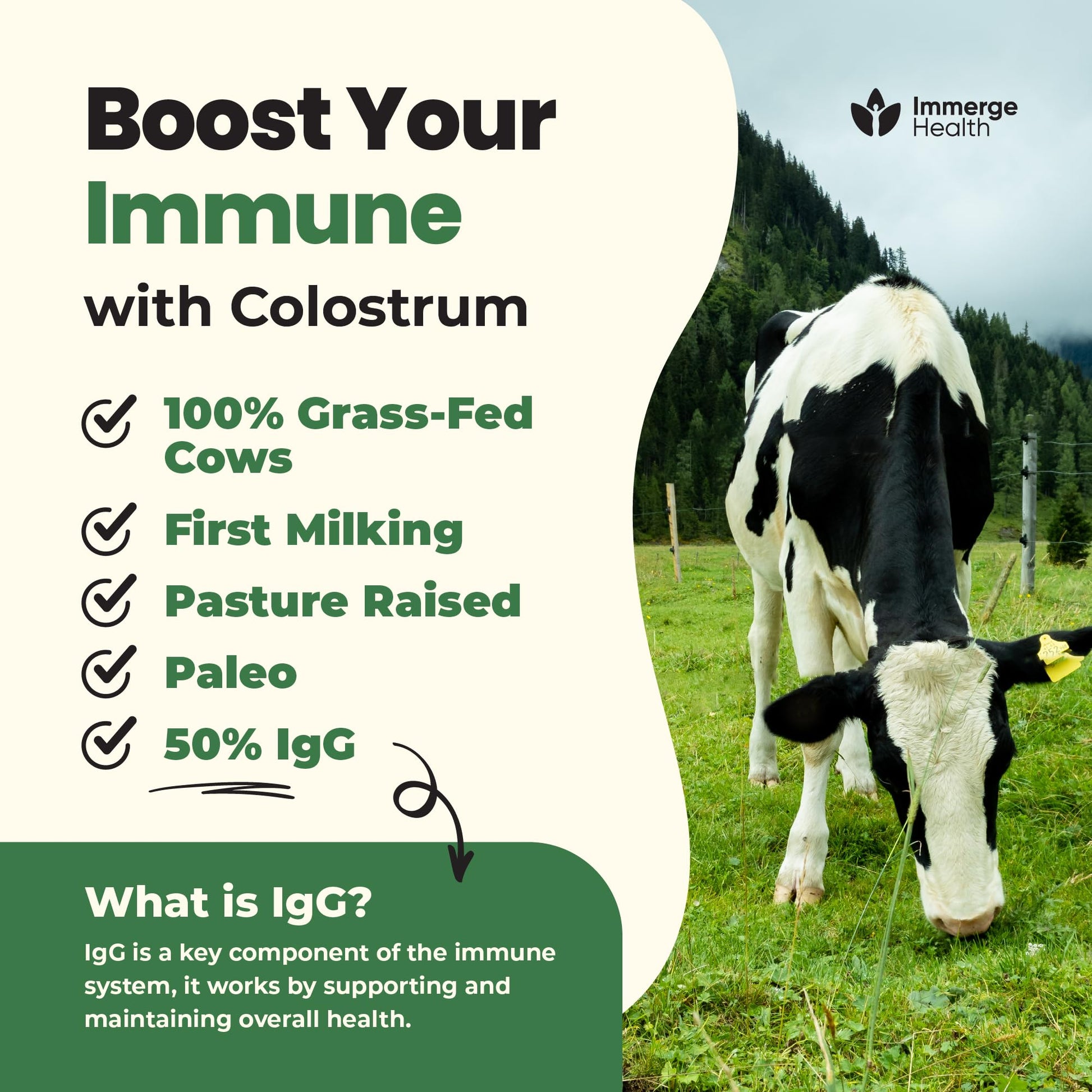 Immerge Health Super Colostrum Powder (60 Servings) – Premium Bovine Colostrum Supplement for Gut Health, Bloating & Immune Support – High IgG, 100% Grass Fed First Milking, Unflavored, Made in USA ImmergeHealth.com buy supplements canada