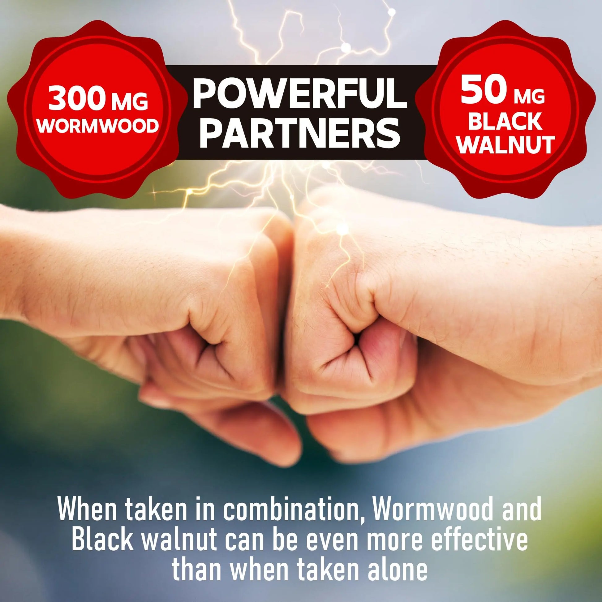 DEDICAD Wormwood Capsules - 12 Herbs Blended Black Walnut, Cloves, Ginger, Turmeric, Cinnamon, Apple, Quassia - 2 Packs 50 Capsules DEDICAD buy supplements canada
