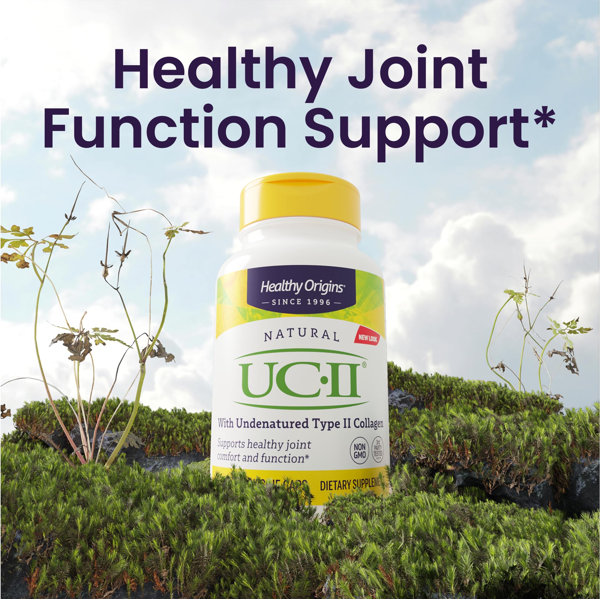 Healthy Origins UC-II 40 mg (Undenatured Type II Collagen, Non-GMO, Gluten Free, Joint Support), 120 Veggie Caps Healthy Origins buy supplements canada