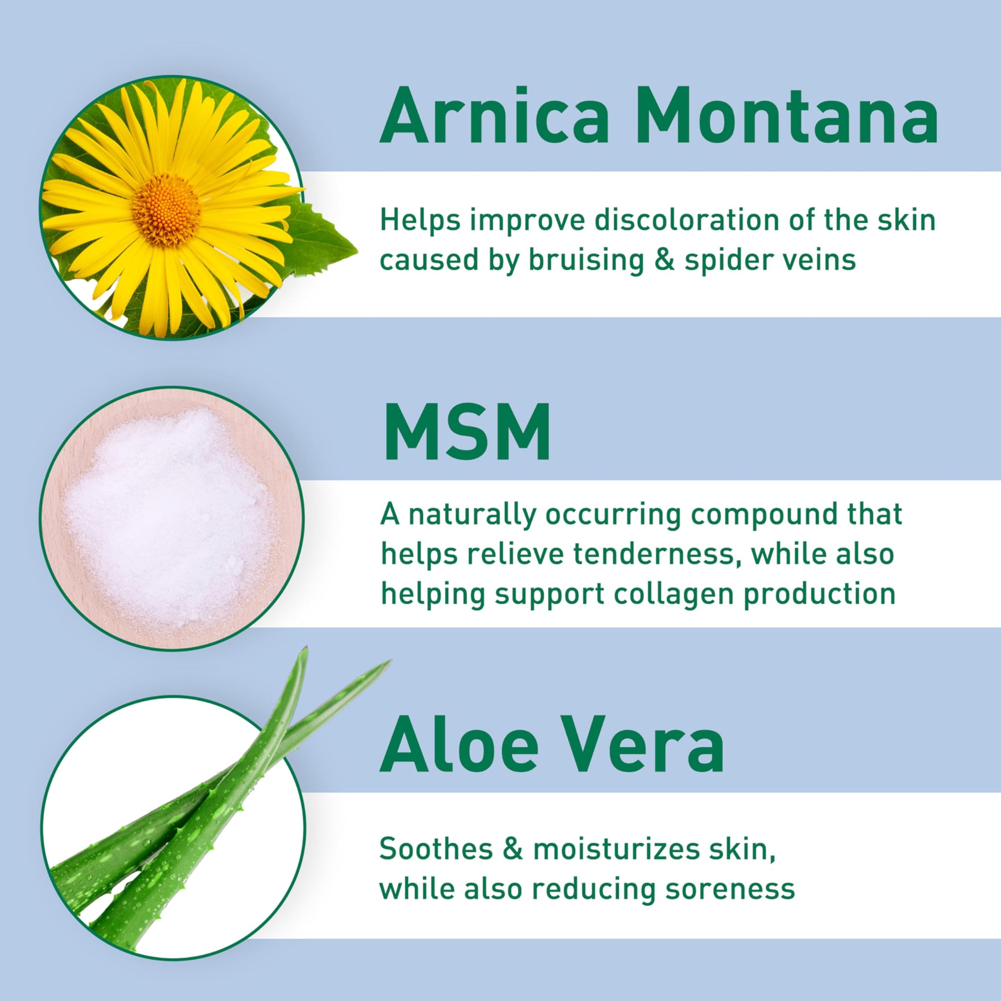 PROcure Arnica & MSM Bruise Remedy Gel – Paraben-Free, Unscented Arnica Montana Gel for Bruising, Spider Veins & Skin Discoloration – 2 Pack PROcure buy supplements canada