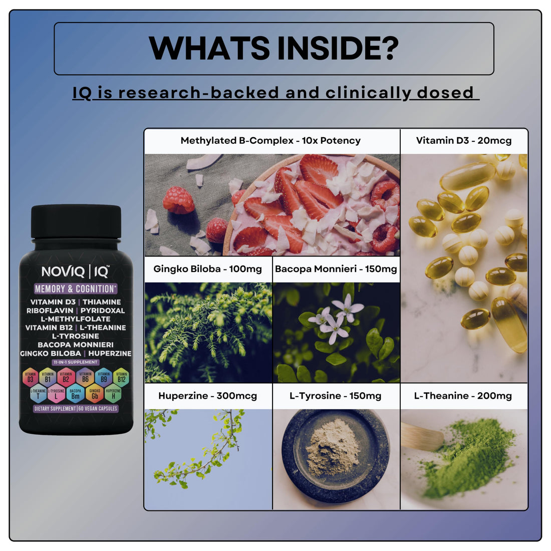 11-in-1 Supplement: Supports Memory & Cognition - 100mg Ginkgo 150mg Bacopa 300mcg Huperzine 200mg L-Theanine 150mg L-Tyrosine & Bioactive B-Complex NOVIQ buy supplements canada
