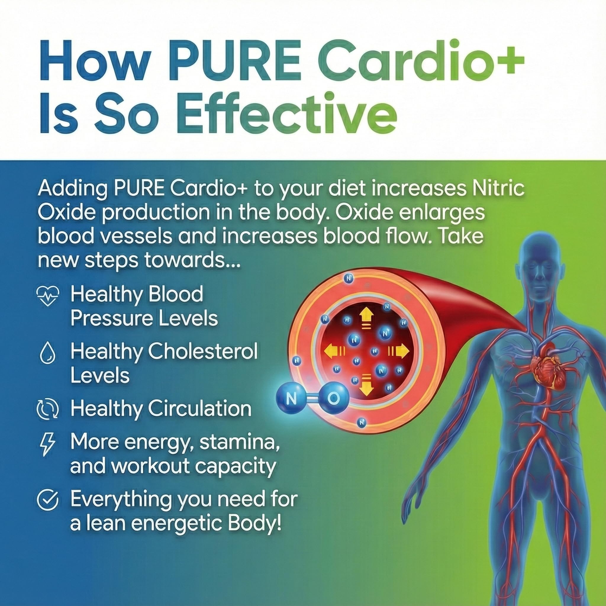 PURE® Cardio+ Nitric Oxide Heart & Circulation Support - 5000mg L-Arginine & 1000mg L-Citrulline - Lemon Lime, 30 Servings Powder, 375 Grams - CoQ10 Beet Root - High Potency Cardiovascular Formula PURE buy supplements canada