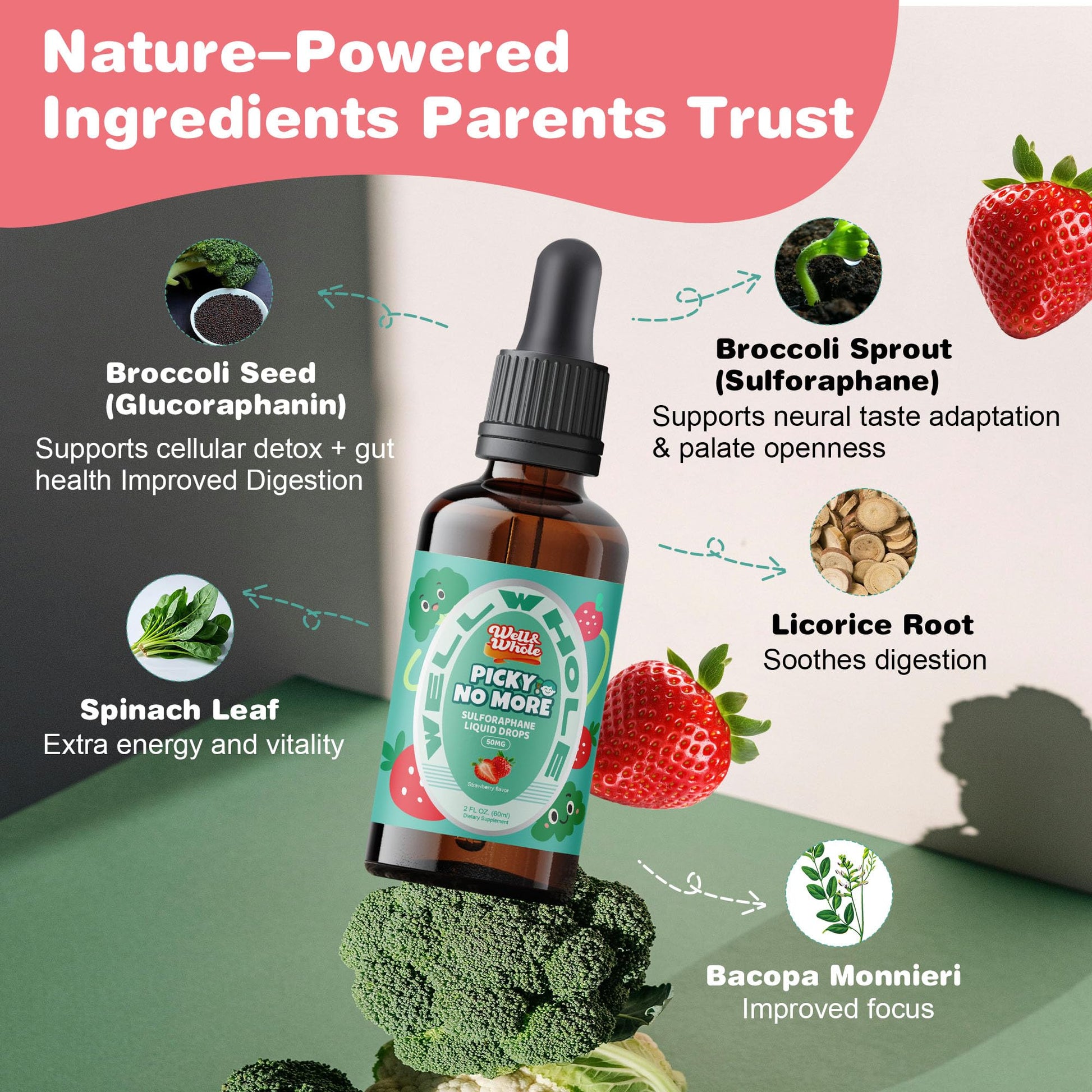 Well&Whole Sulforaphane Kids Liquid Supplement – Pick No More Broccoli Sprout Extract Drops, Hidden Greens for Picky Eaters, Daily Nutrition Support, Sugar-Free, Vegan, 60mL Well&Whole buy supplements canada