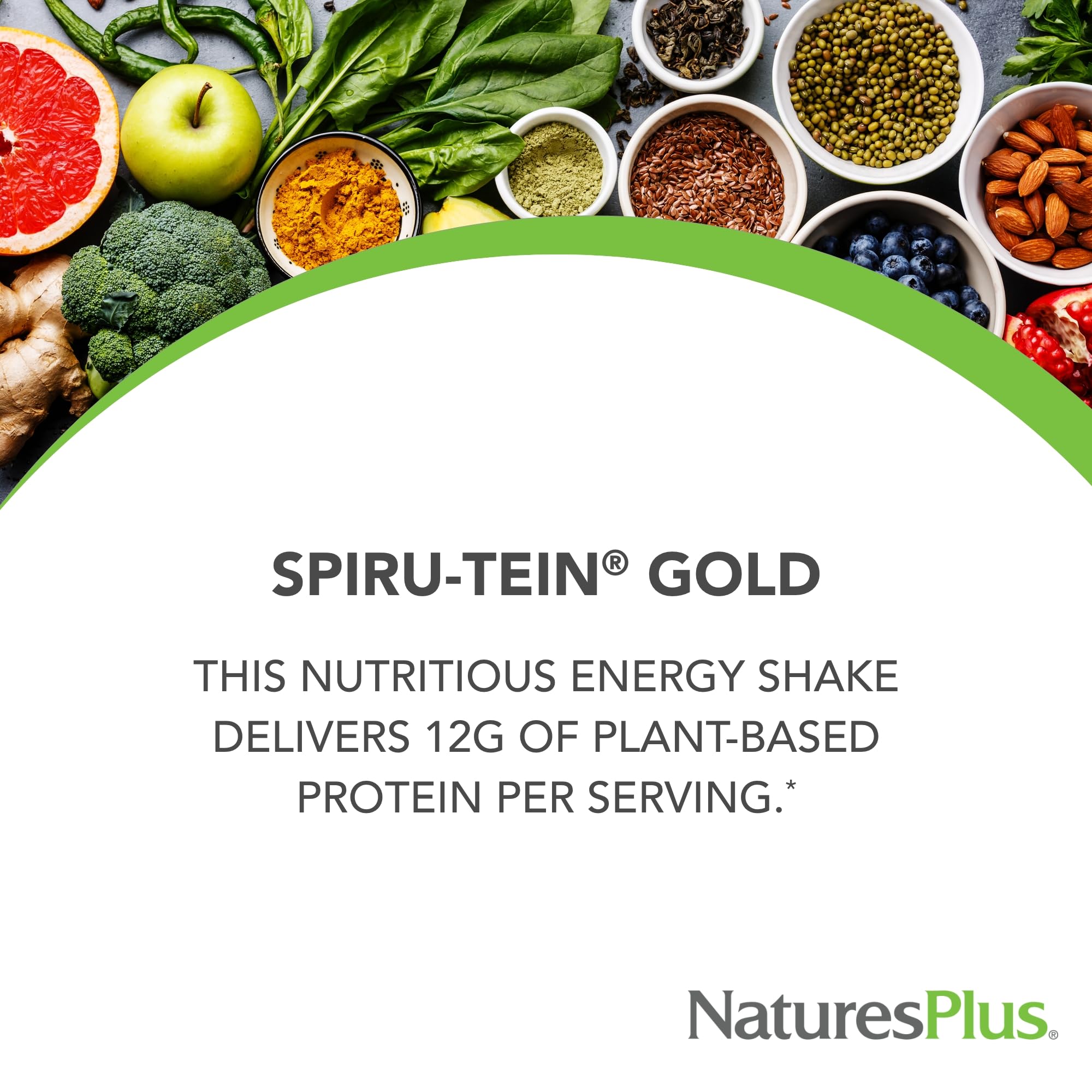 NaturesPlus SPIRU-TEIN GOLD, Vanilla - 1.03 lb - Plant-Based Protein Powder - Vitamins & Minerals for Energy - Vegetarian, Gluten Free - 13 Servings NaturesPlus buy supplements canada