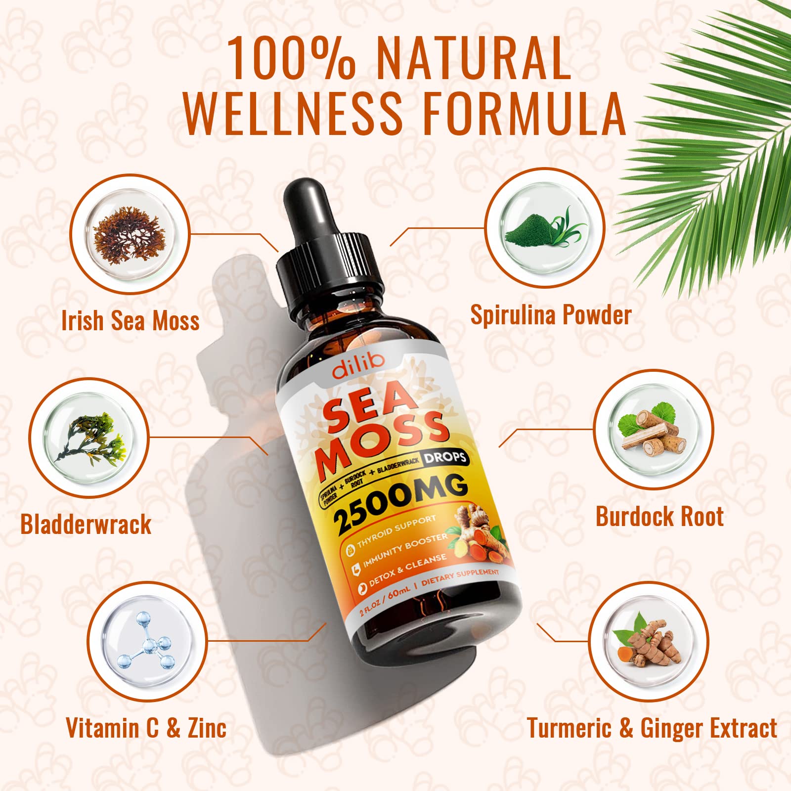 Sea Moss Liquid Drops: Organic Irish Sea Moss 2500mg with Turmeric, Bladderwrack dilib buy supplements canada