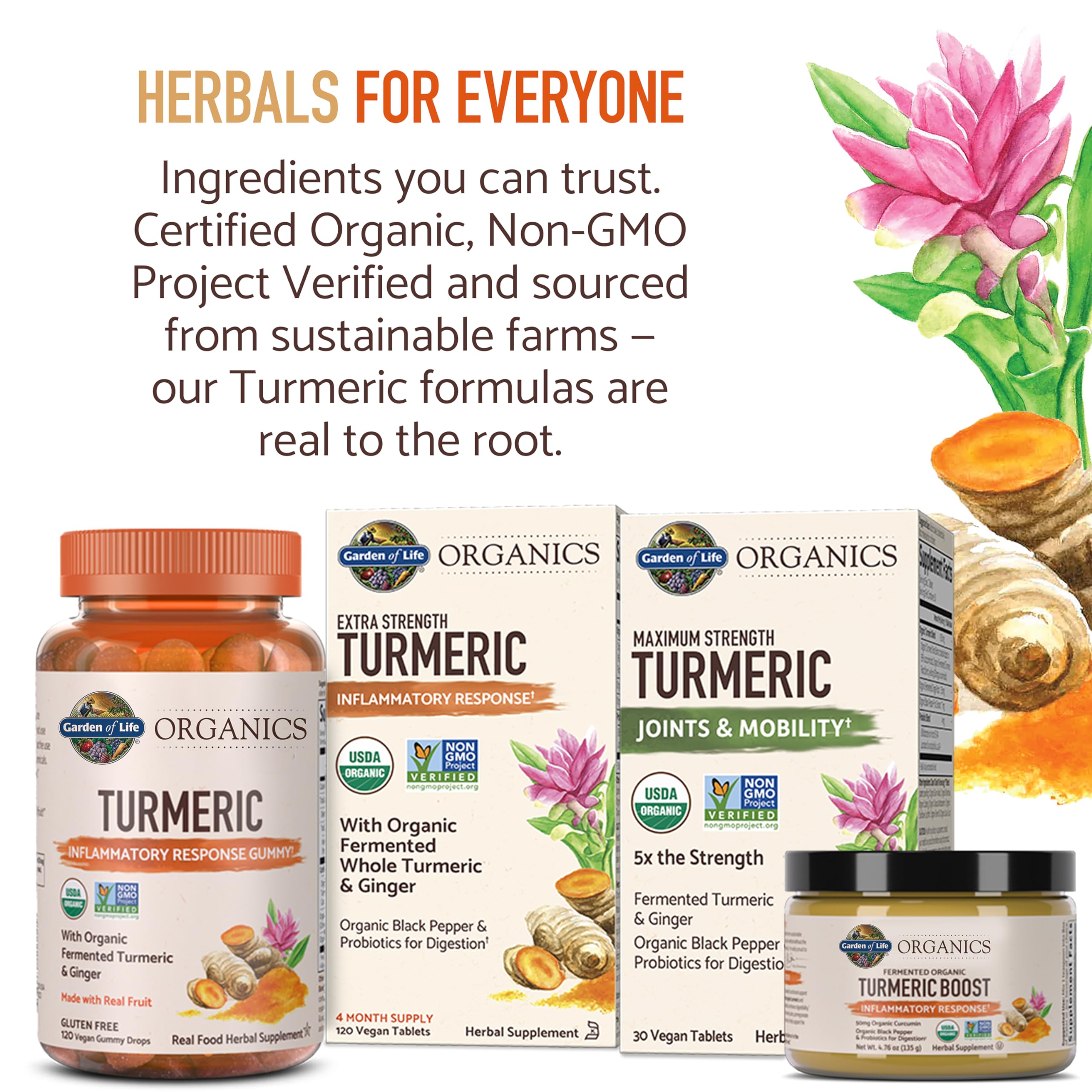 Garden of Life Organics Extra Strength Turmeric Inflammatory Response 120 Tablets-100Mg Curcumin (95% Curcuminoids) Black Pepper, Probiotics, Organic Non-GMO Vegan Gluten Free Herbal Supplement Garden of Life buy supplements canada