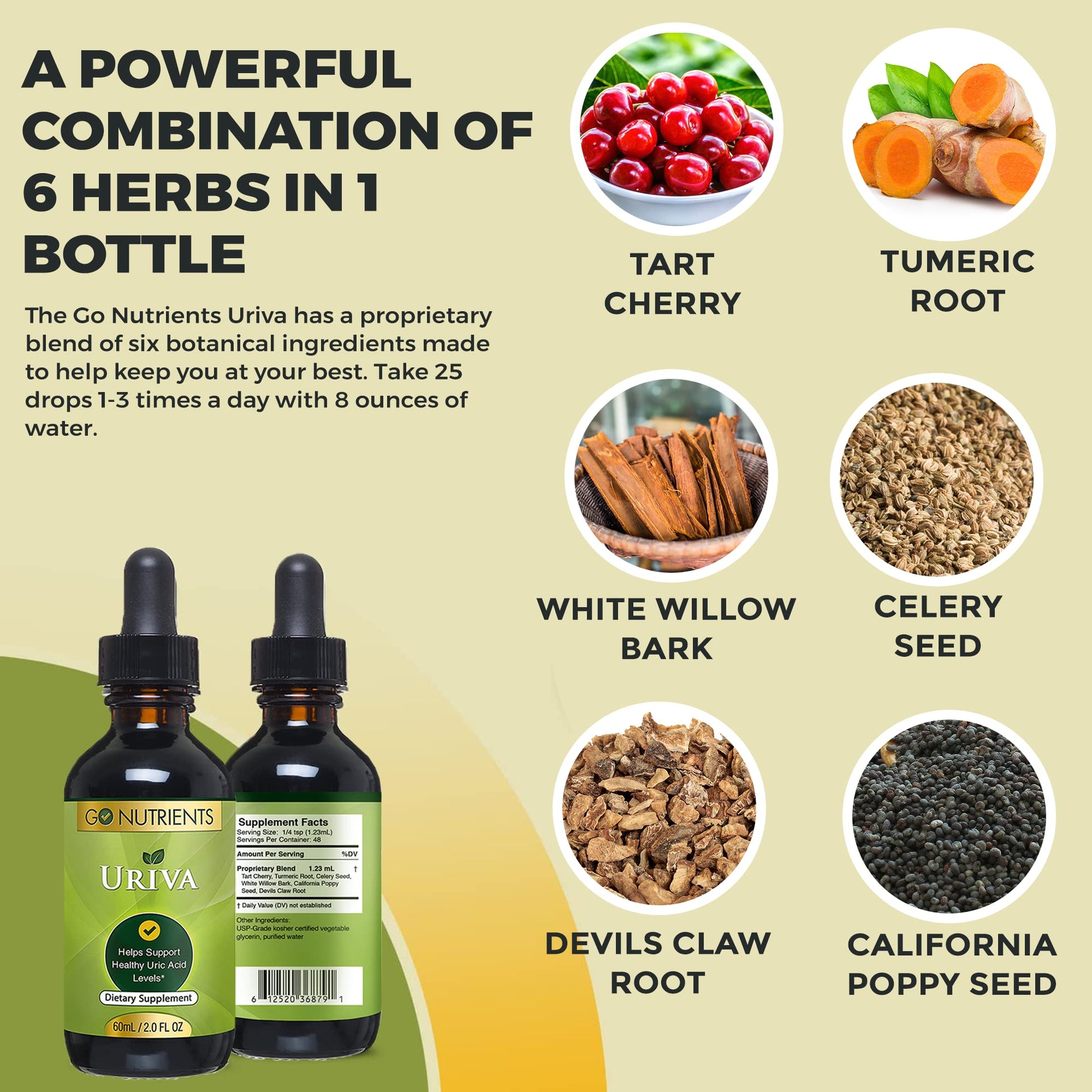 Go Nutrients Uriva Advanced Uric Acid Flush Cleanse with Tart Cherry Extract Celery Seed Extract Turmeric Go Nutrients buy supplements canada