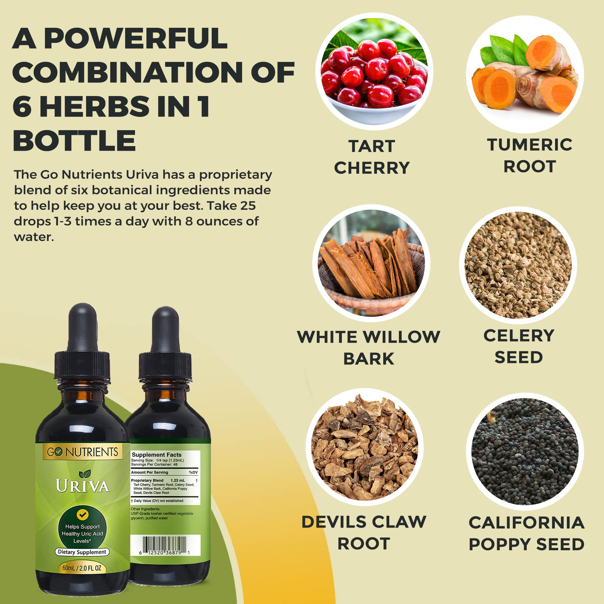 Go Nutrients Uriva Advanced Uric Acid Flush Cleanse with Tart Cherry Extract Celery Seed Extract Turmeric Go Nutrients buy supplements canada