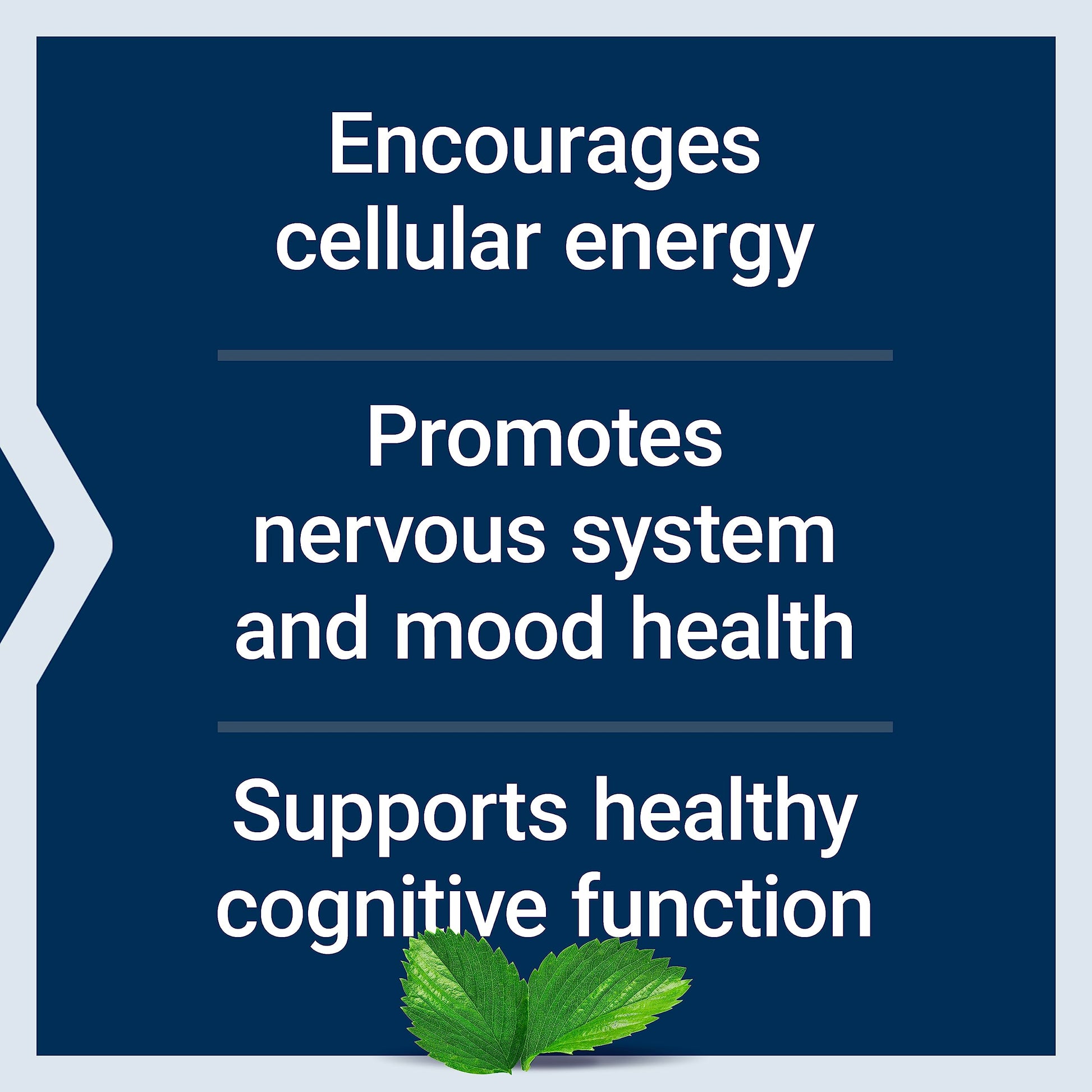 Life Extension Acetyl-L-Carnitine, Acetyl-L-Carnitine, vitamin C, Brain, mood & nerve health Life Extension buy supplements canada