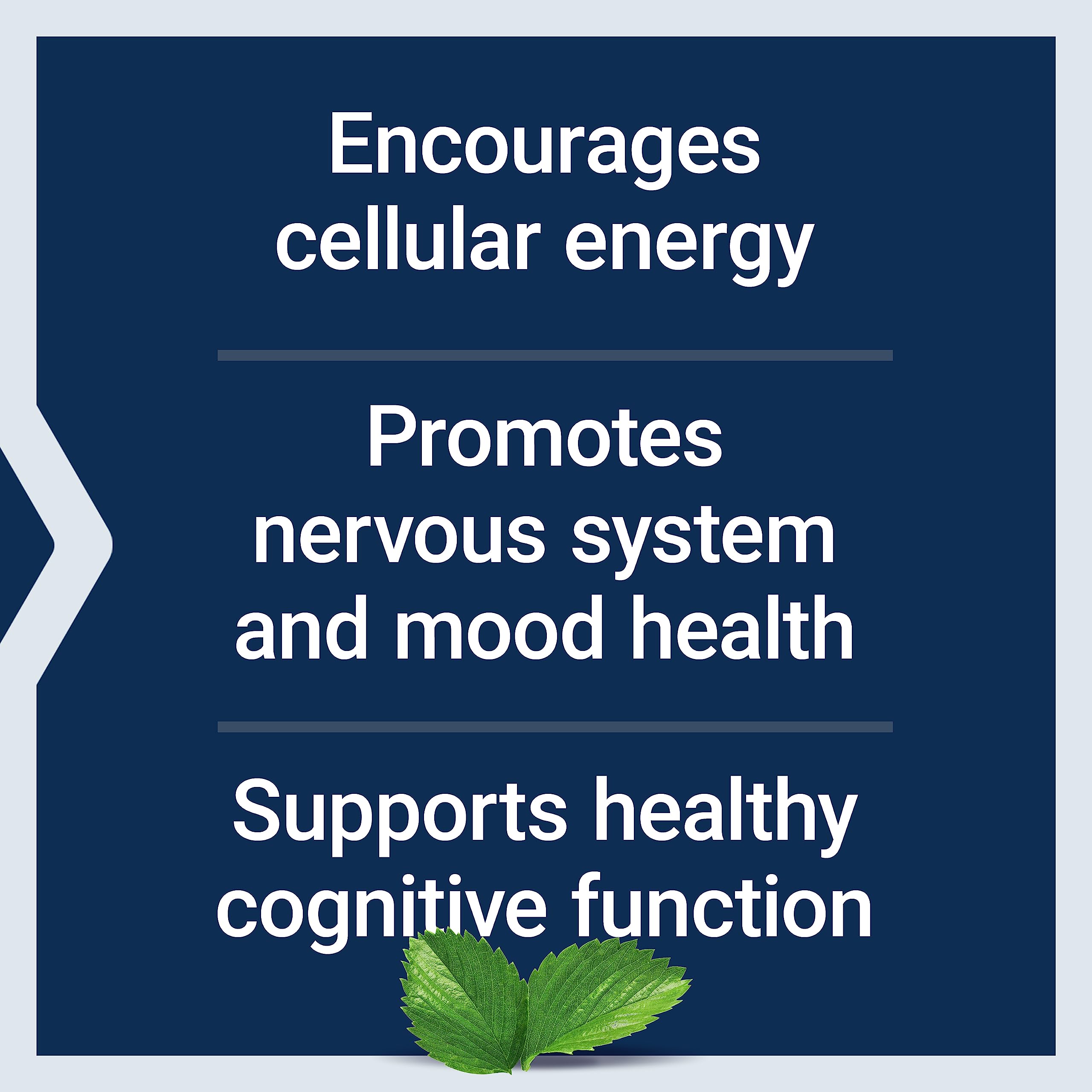 Life Extension Acetyl-L-Carnitine, Acetyl-L-Carnitine, vitamin C, Brain, mood & nerve health Life Extension buy supplements canada