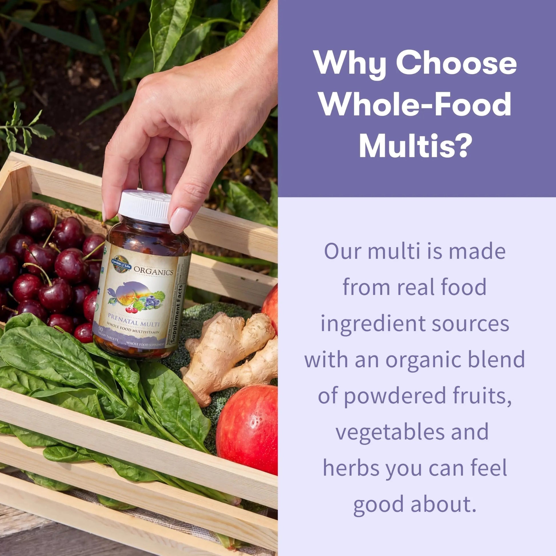 Garden of Life Organics, Prenatal Multi, 90 Vegan Tablets Garden of Life buy supplements canada