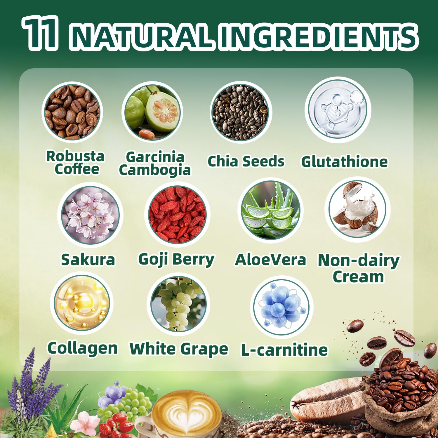 Skiseoy 20x Collagen Chia Coffee - 11-in-1 Coffee Shape Mix with L-Glutathione for Skin, Hair, Joints - Boost Energy and Focus, Vegan Friendly, 45 Servings Skiseoy buy supplements canada