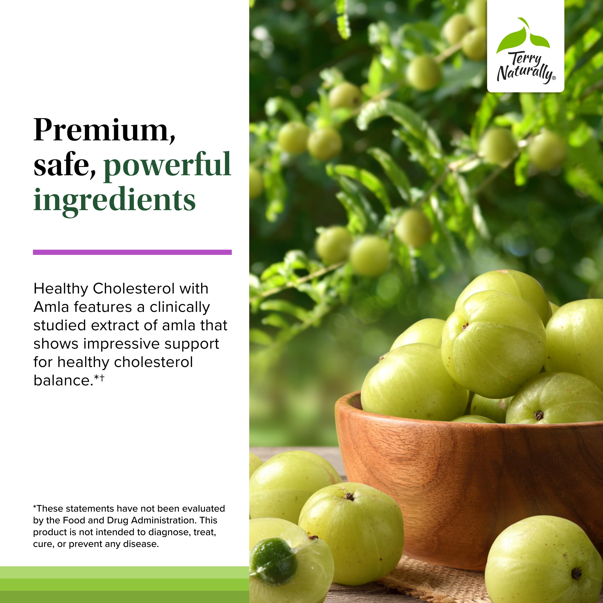 Terry Naturally Healthy Cholesterol with Amla - Antioxidant Supplement for Immune & Heart Support - Supplement to Aid Healthy Cholesterol & Triglyceride - 60 Capsules Terry Naturally buy supplements canada
