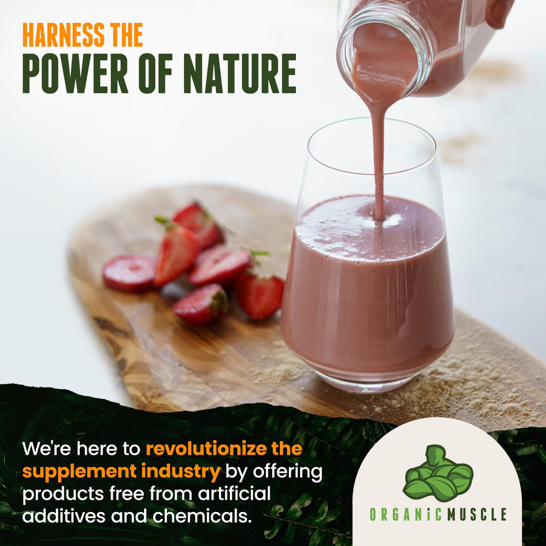 Organic Muscle Superfood Pre Workout Powder for Men & Women, Lemon Berry Organic Muscle buy supplements canada