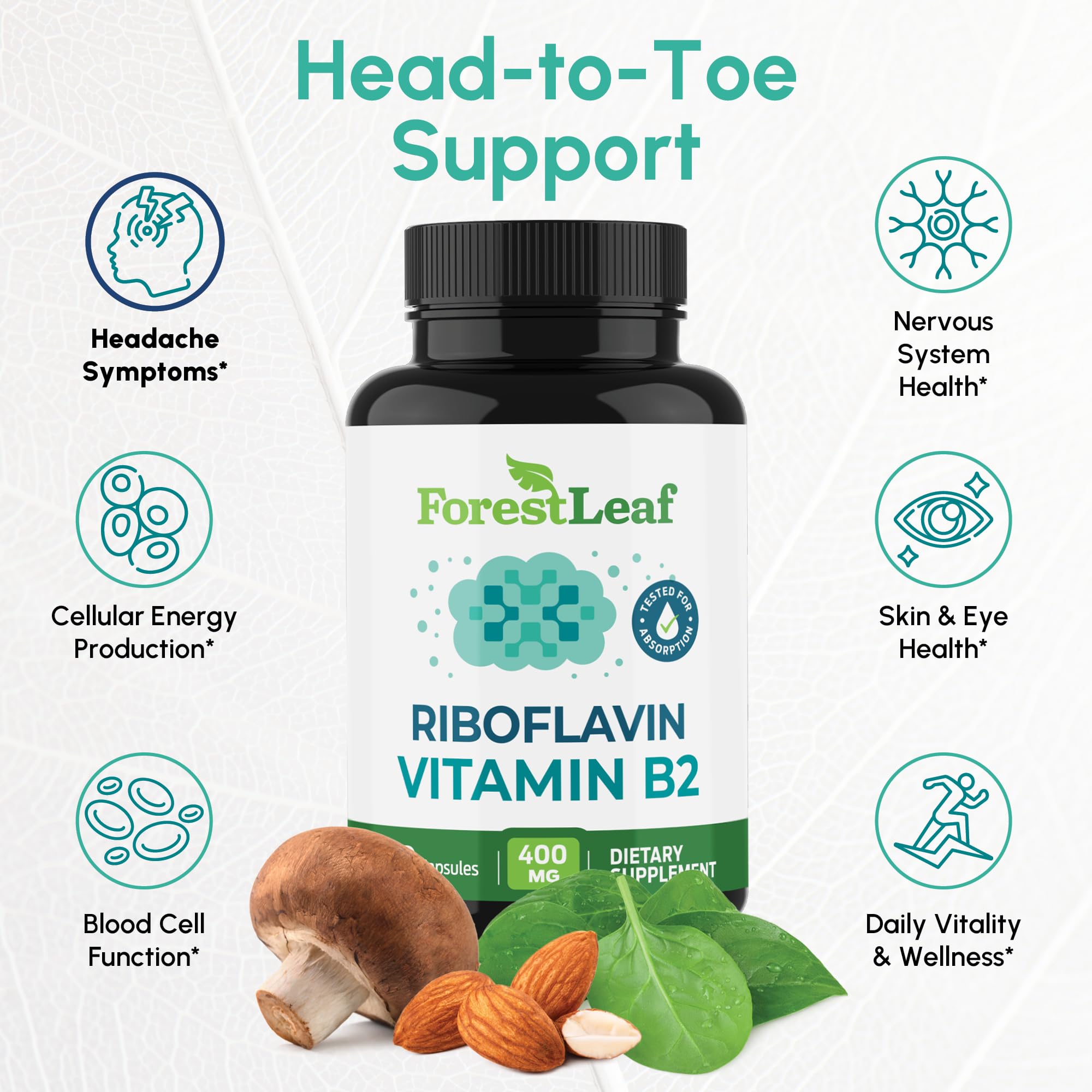 ForestLeaf Vitamin B2 Riboflavin 400mg - Energy, Skin & Cellular Health Supplement - Nervous System Support - Vitamin B 2 VIT B - Non-GMO & Gluten Free ForestLeaf buy supplements canada