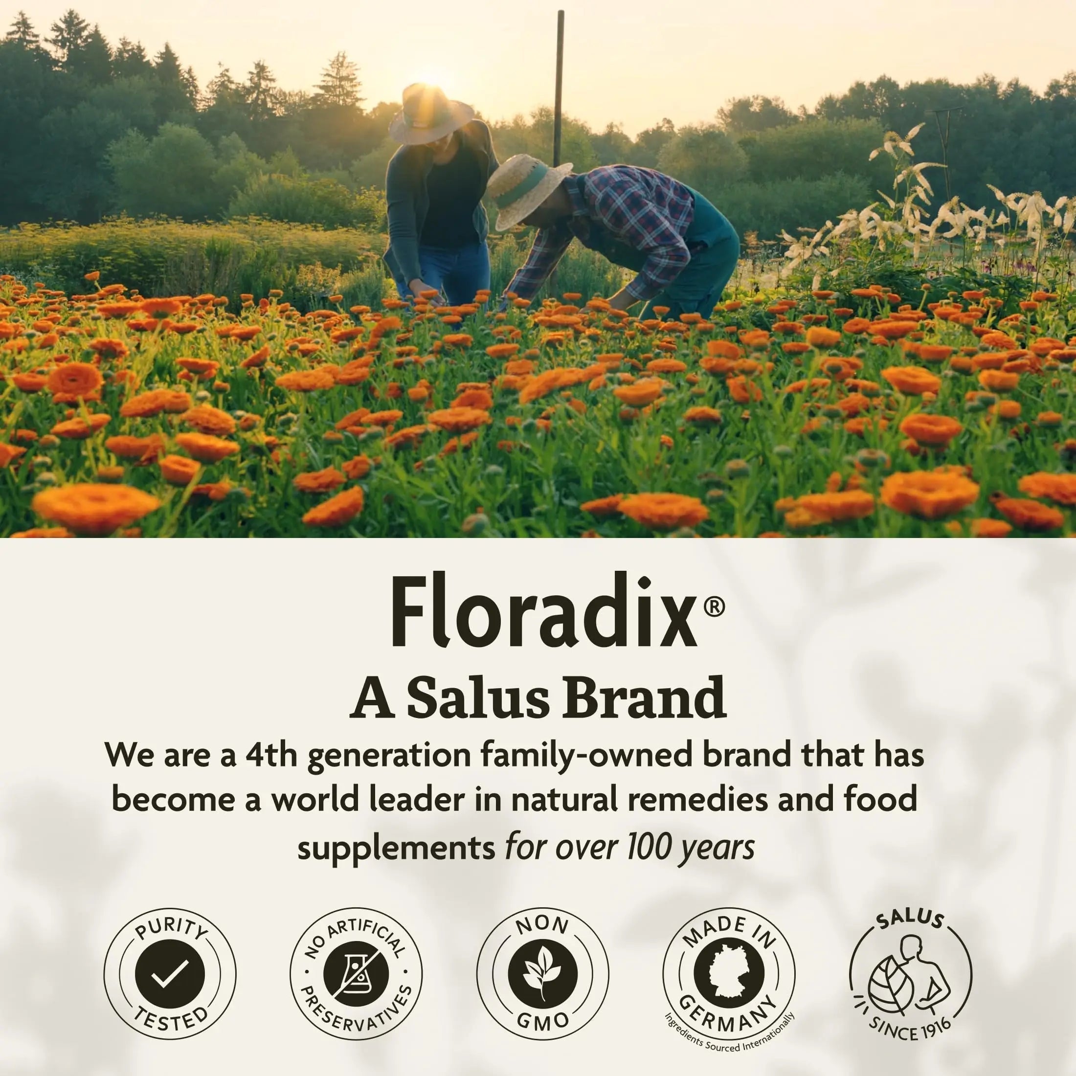 Floradix Kinder Love Children's Multivitamin - Herbal Supplement - Liquid Multivitamin for Kids - Vitamins A, C, D & E, Calcium & More Floradix buy supplements canada
