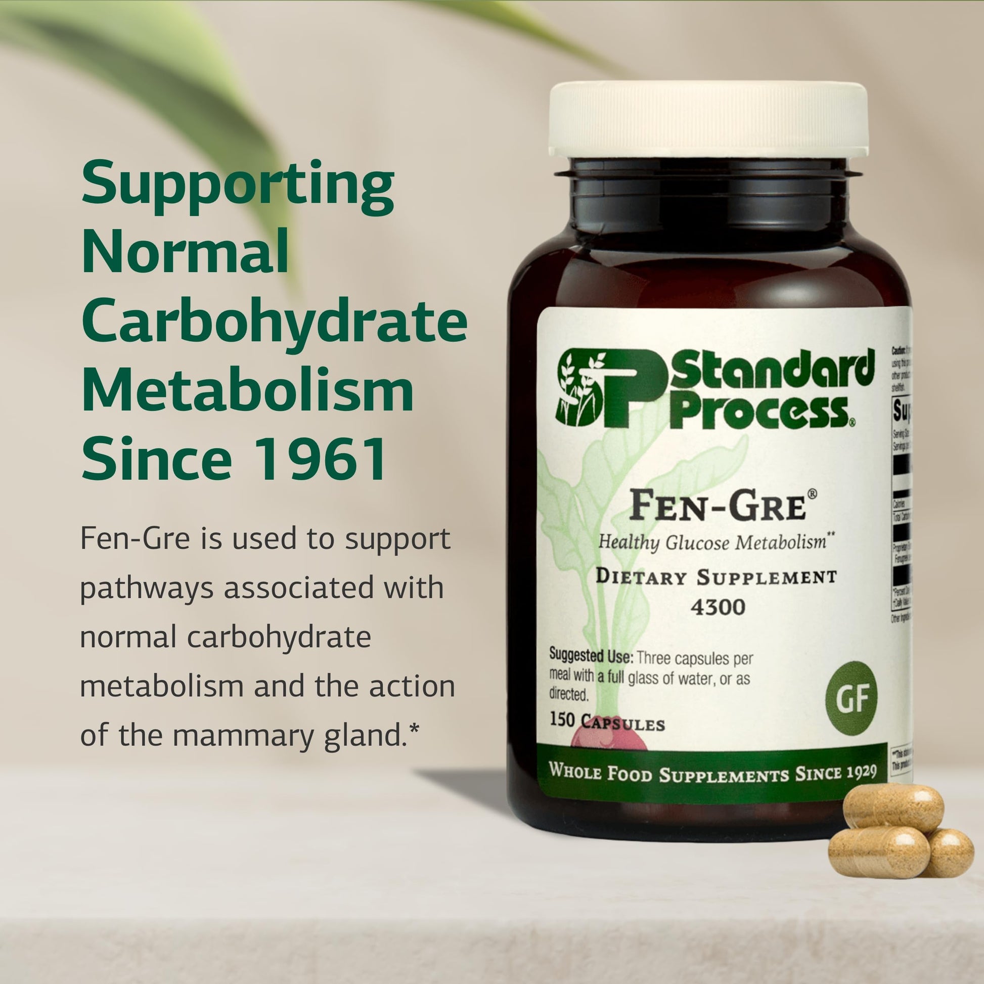 Standard Process Fen-Gre - Supports Respiratory Support & Healthy Metabolism - Aids Healthy Levels of Mucus & Phlegm - Supports Lung Health & Bronchial Tubes - Gluten-Free & Non-Dairy - 150 Capsules Standard Process Inc. buy supplements canada