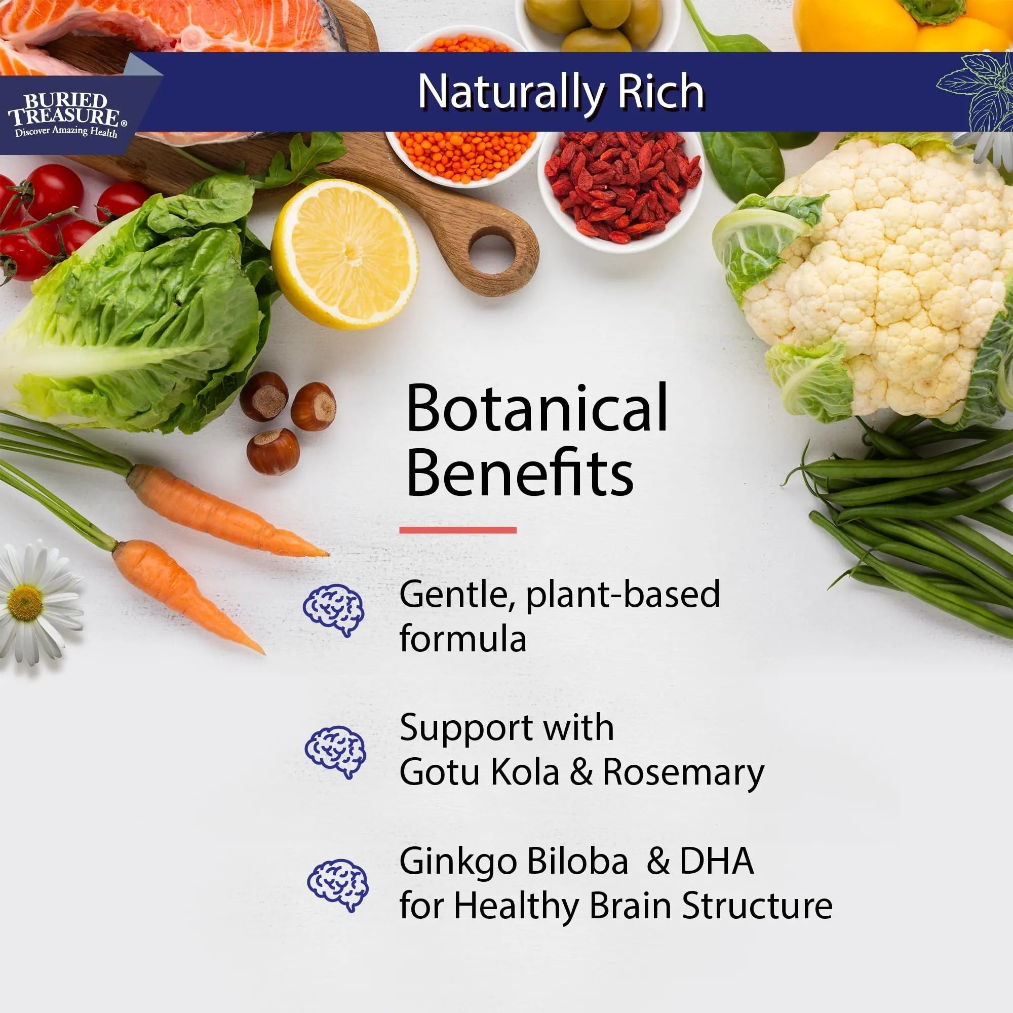 Buried Treasure Neuro Nectar Memory and Mental Focus Supplement 16 oz Buried Treasure buy supplements canada