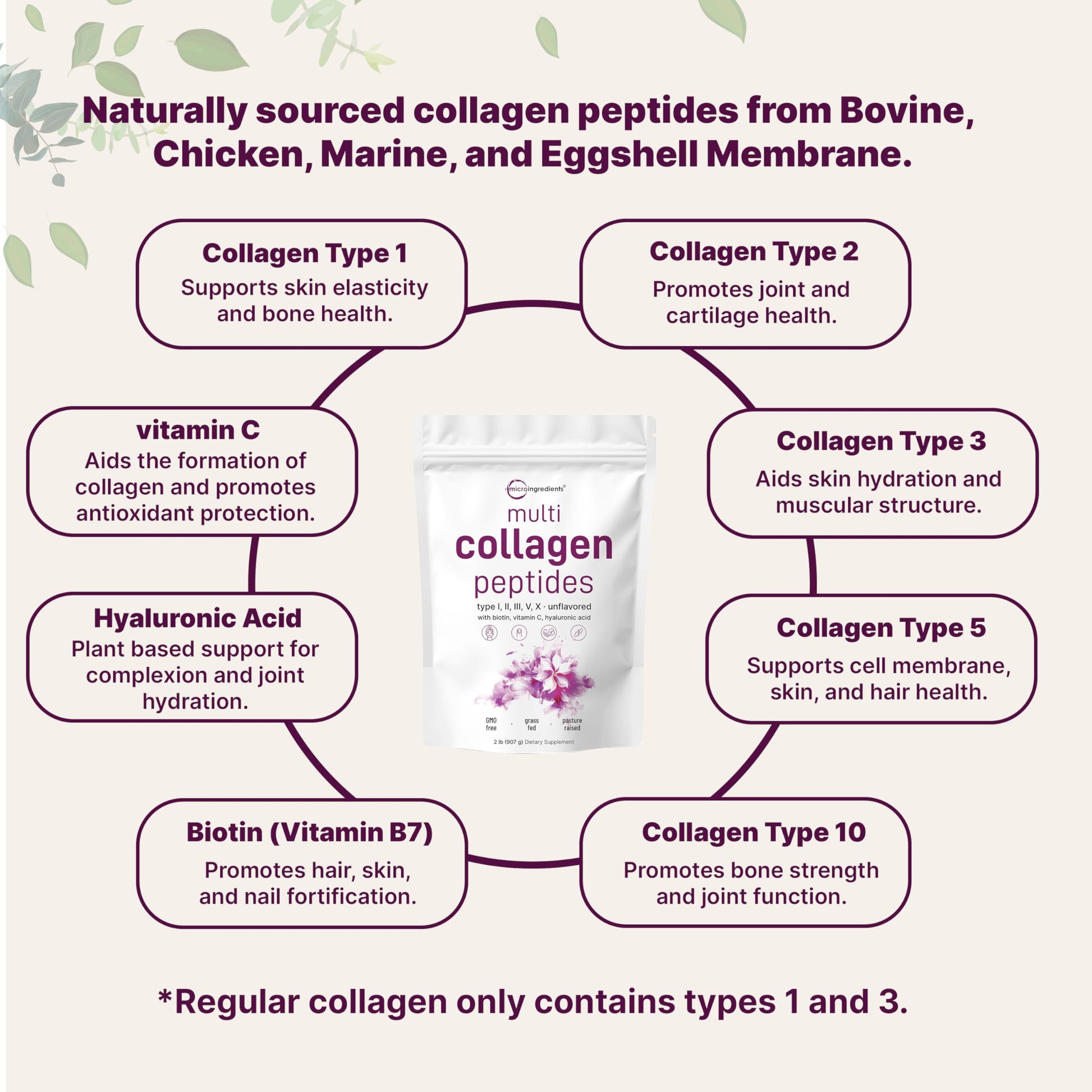 Micro Ingredients Multi Collagen Peptides Powder, 2lb – Hydrolyzed Type I,II,III,V,X with Biotin, Hyaluronic Acid, Vitamin C – Unflavored Collagen for Women & Men Micro Ingredients buy supplements canada