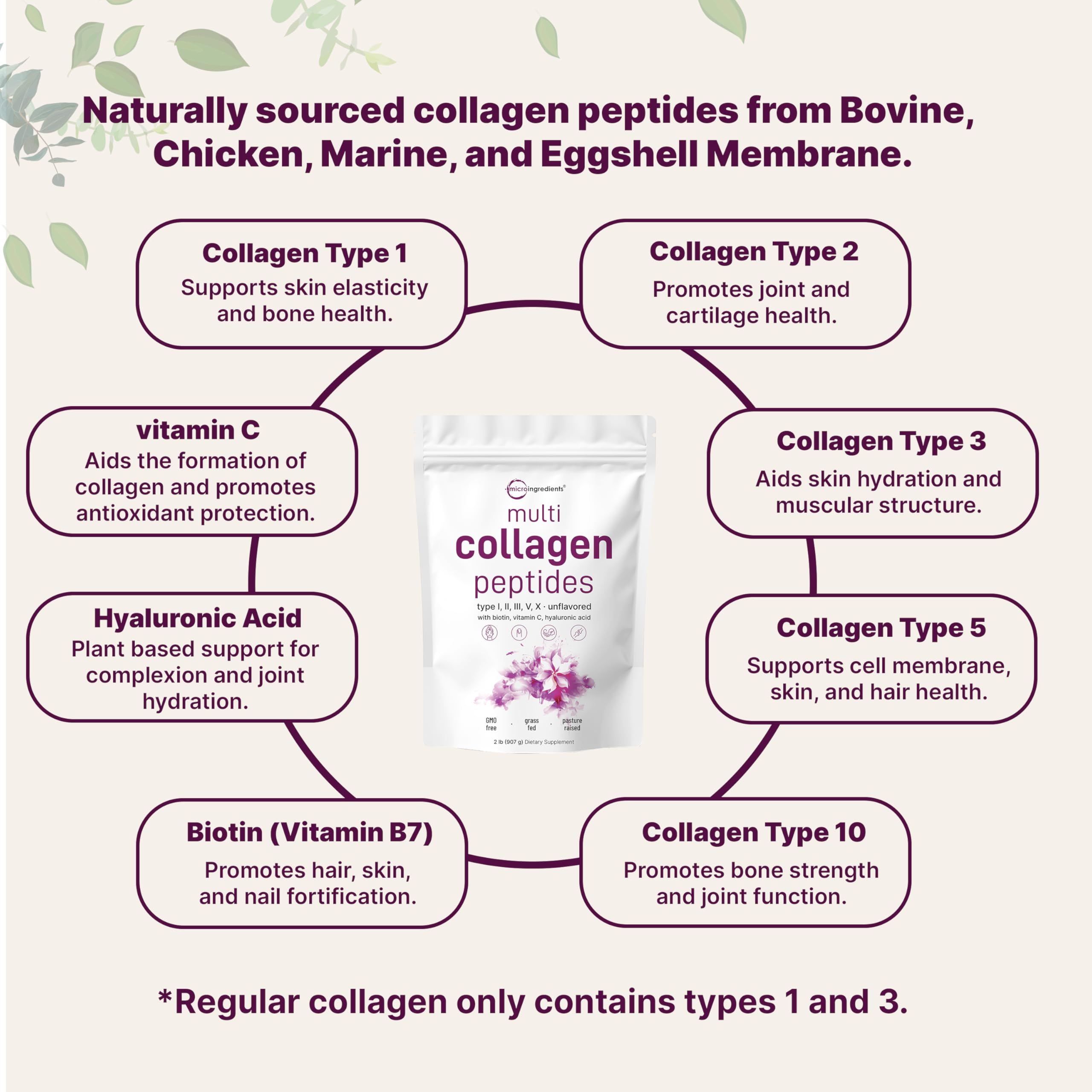 Micro Ingredients Multi Collagen Peptides Powder, 2lb – Hydrolyzed Type I,II,III,V,X with Biotin, Hyaluronic Acid, Vitamin C – Unflavored Collagen for Women & Men Micro Ingredients buy supplements canada