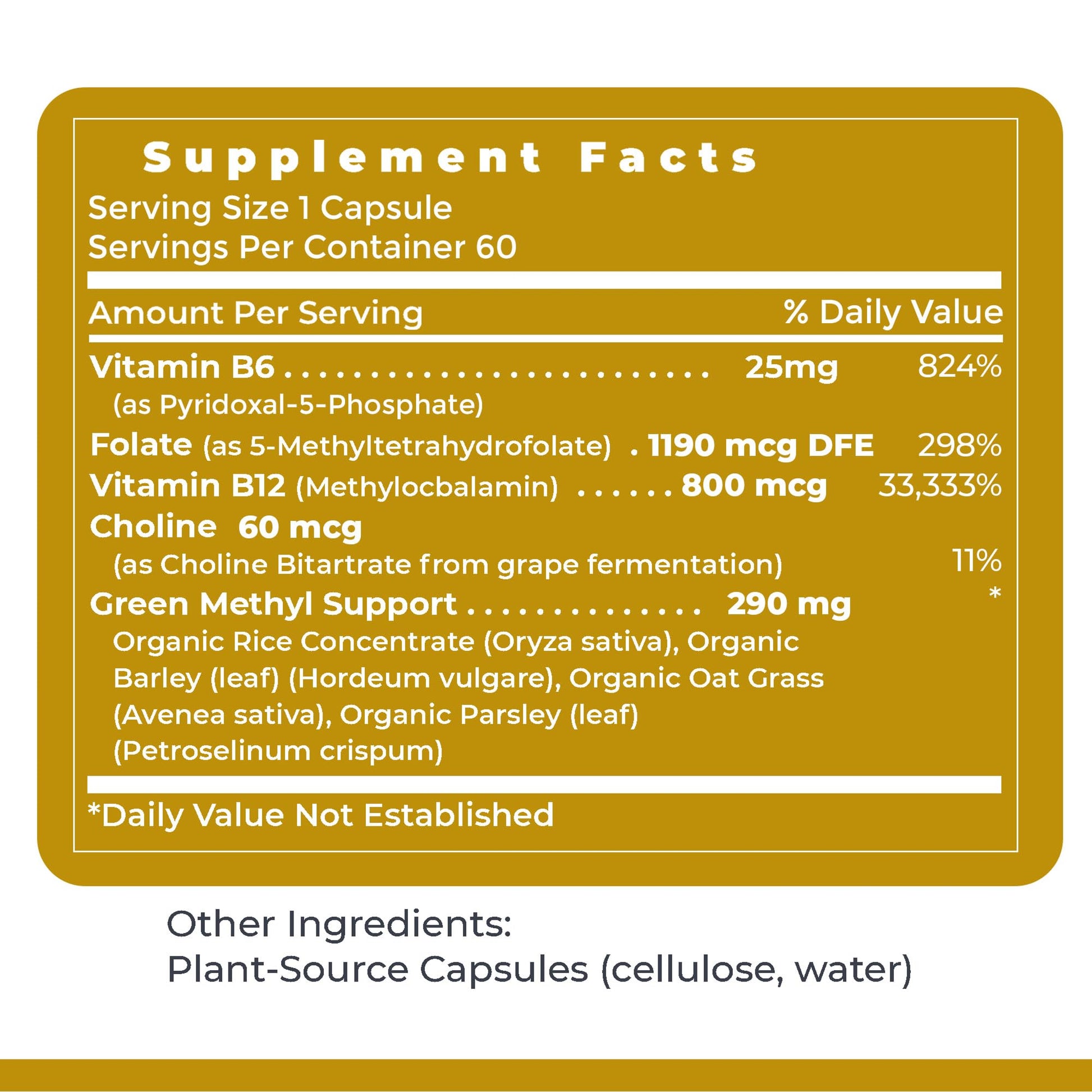 Premier Research Labs Phyto Methylate - B Vitamin Supplement - Supports Methylation, Detox, Brain & Heart Health - 5-MTHF & P5P - 60 Plant-Source Capsules Premier Research Labs buy supplements canada