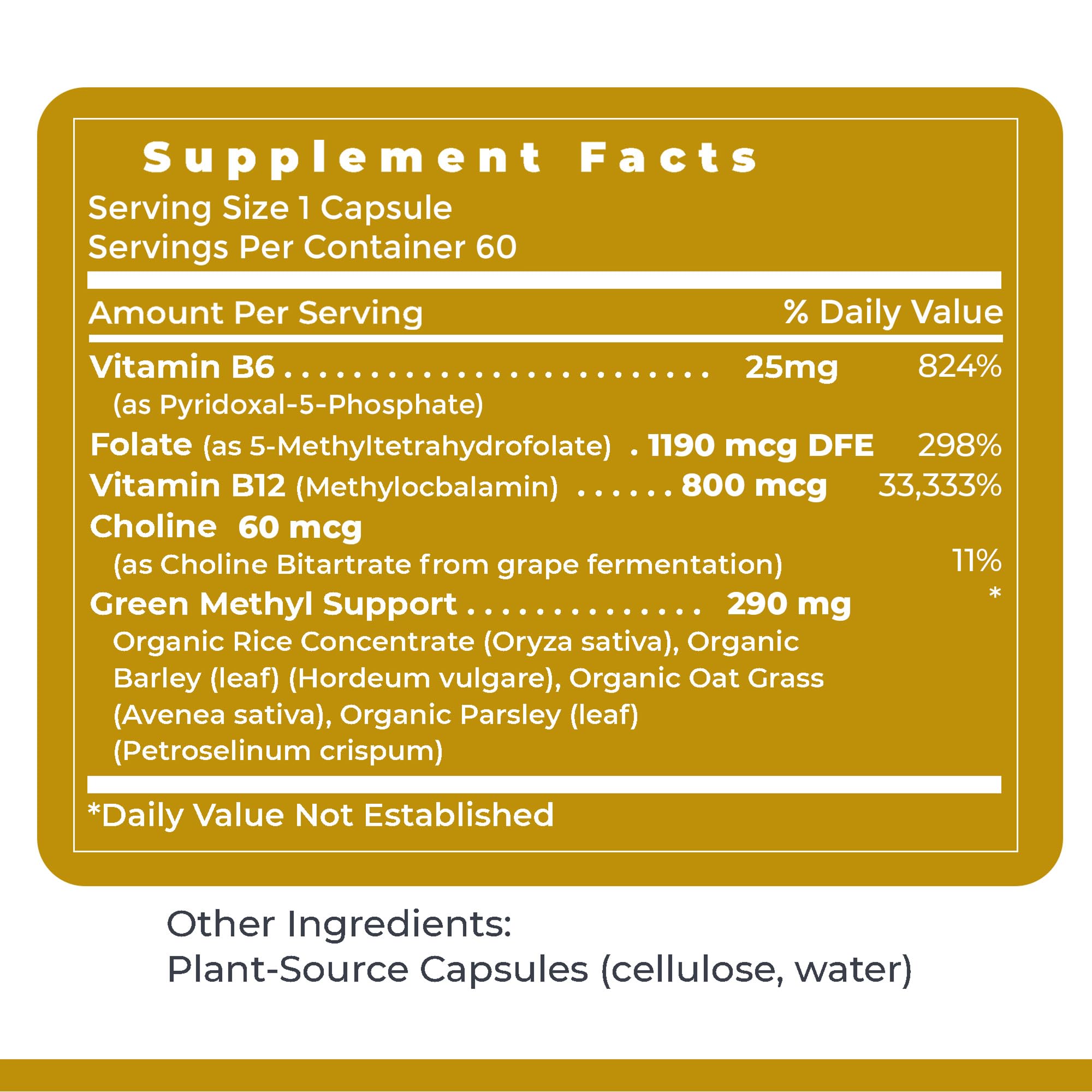 Premier Research Labs Phyto Methylate - B Vitamin Supplement - Supports Methylation, Detox, Brain & Heart Health - 5-MTHF & P5P - 60 Plant-Source Capsules Premier Research Labs buy supplements canada