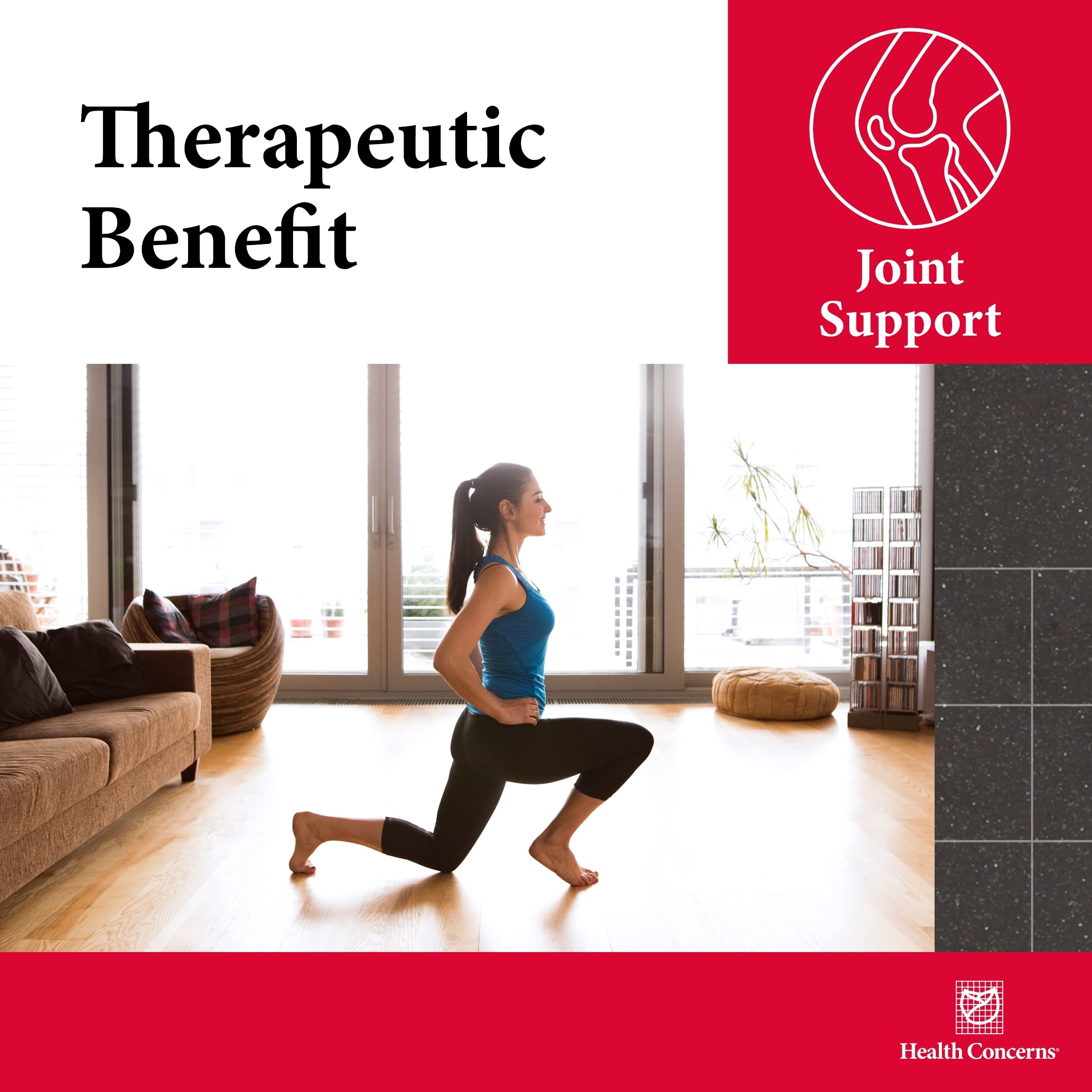 Health Concerns Mobility 2 – Joint Health Support Supplement for Men & Women – Chinese Herbal Circulation Support – Natural Joint & Muscle Aid – Herbal Extracts – 90 Capsules Health Concerns buy supplements canada