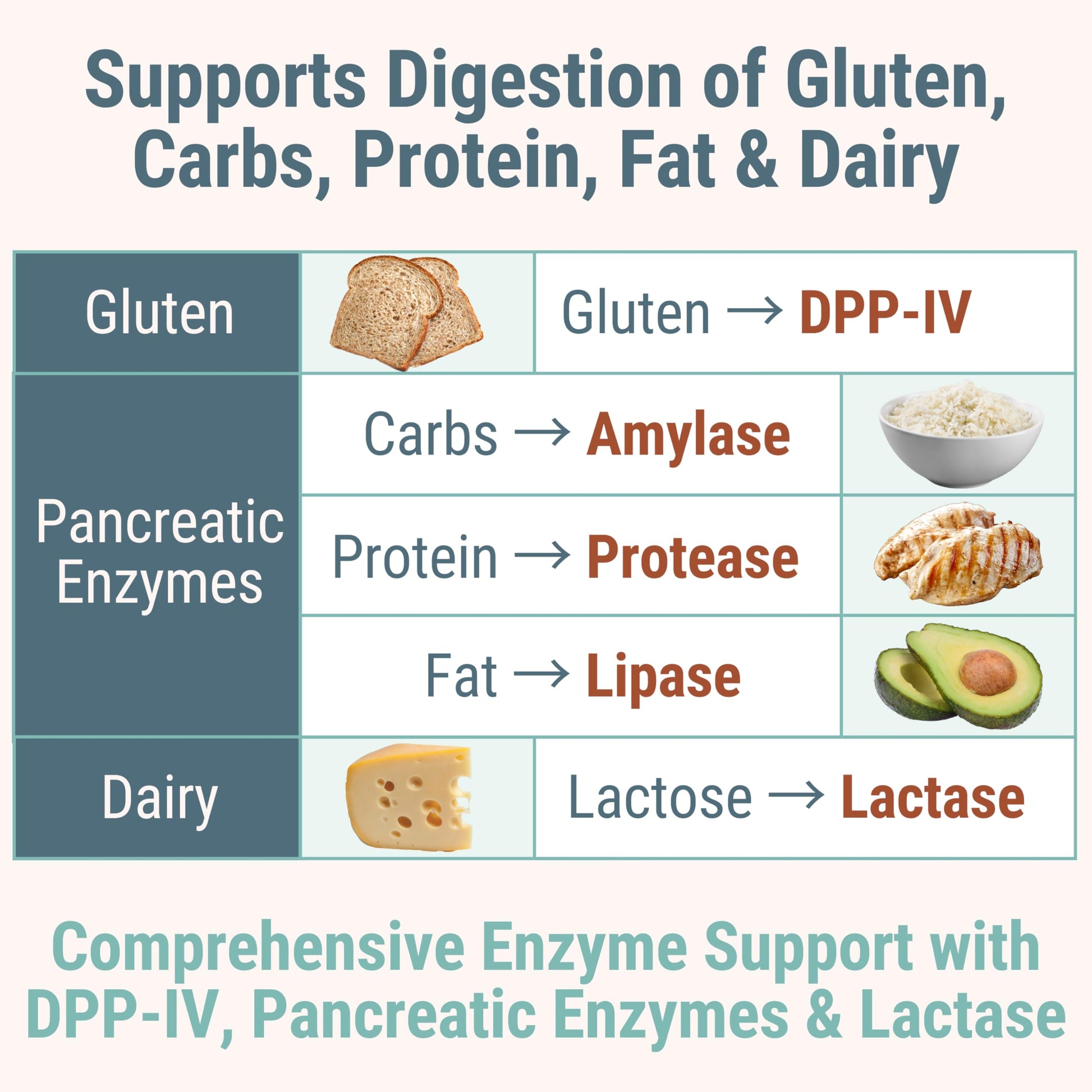 Gluten & Lactase Digestive Enzyme Gummies – Lactase Pancreatic Enzymes with DPP‑IV Lipase Gluco‑Amylase Lactase, Drops Chewables Capsules Pills Powder Supplement Alt, Pancreatic Support, for Kids SHIZAM buy supplements canada